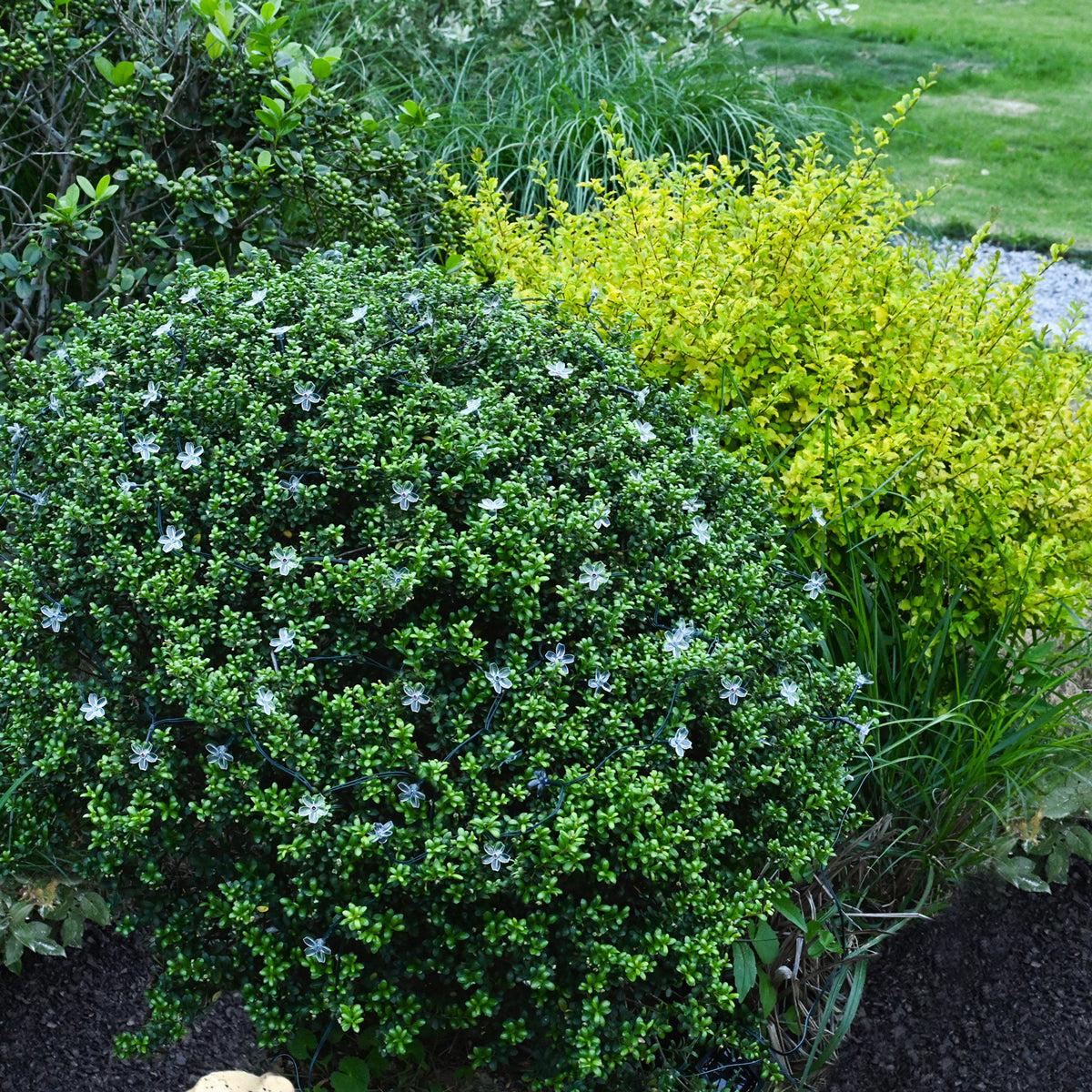 Gigalumi 46ft Flower String Lights Set (2 Pack)-4