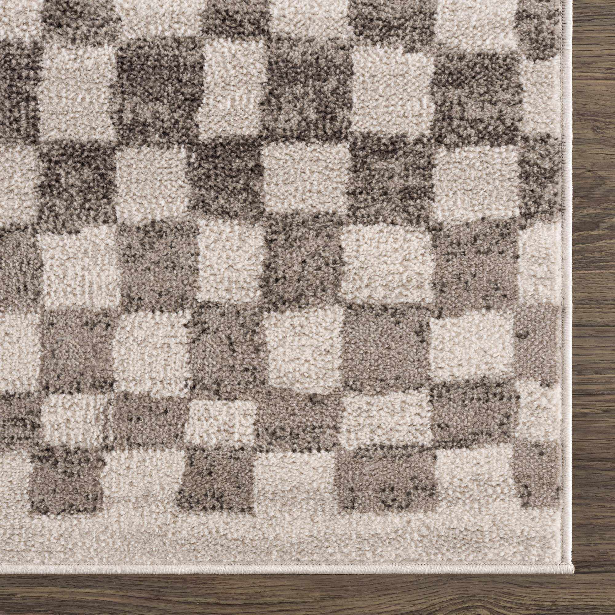 Benjy Beige Checkered Area Rug