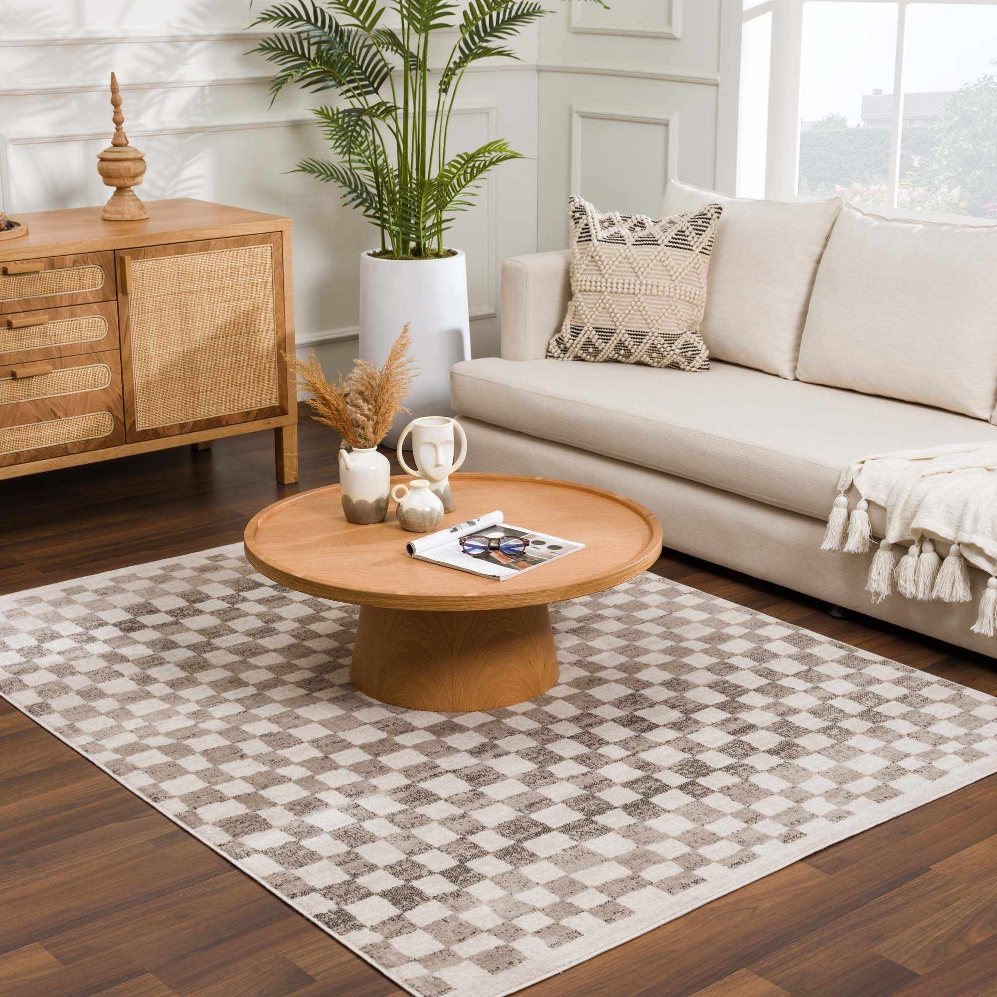Benjy Beige Checkered Area Rug