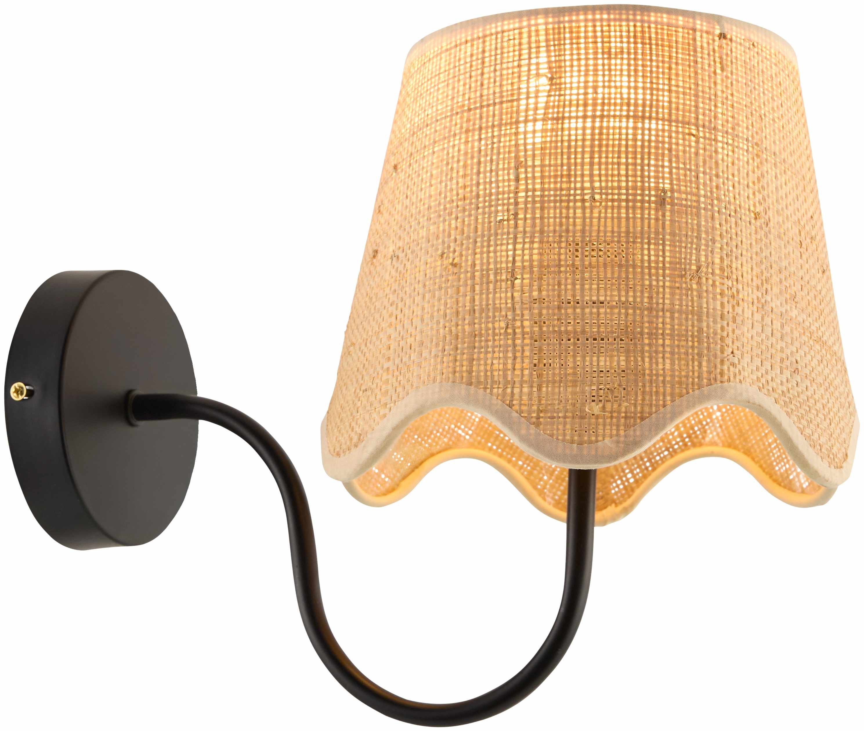 Aussillon Black Wall Sconce-1