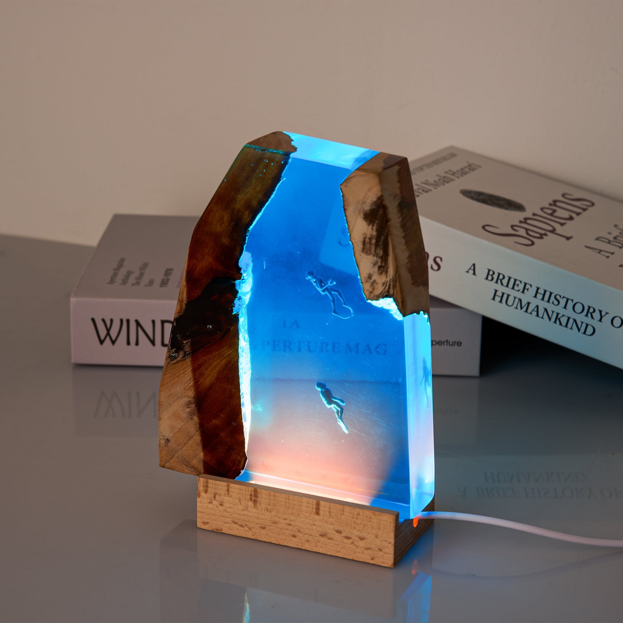 Resin Ocean Lamp,Shark and Diver resin wood lamp-2