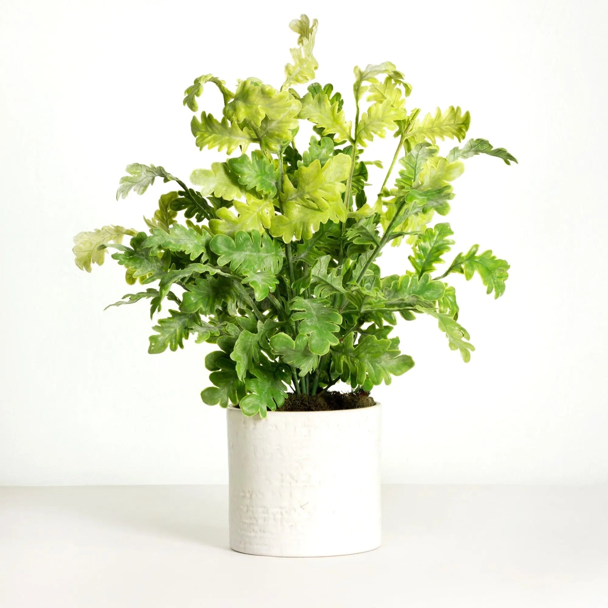 Real-touch artificial plant in chic white ceramic planter - 19"-0