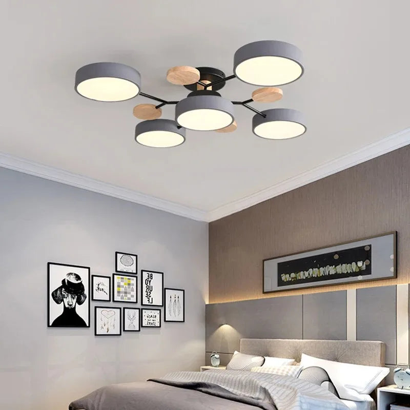 LED Ceiling Light Large Fixture