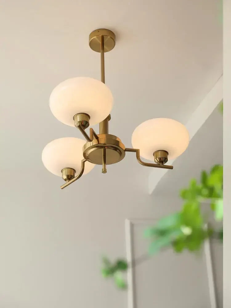 DecorBites™ Chandelier Ceiling Lamp Loft Lighting