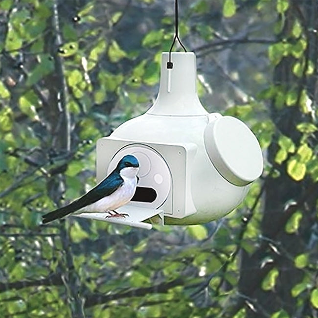 Round White Plastic Birdhouse for Purple Martins Tree Swallows and Bluebirds-1