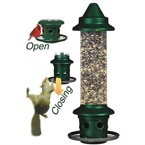 Squirrel-proof Bird Feeder with Perch Ring-1