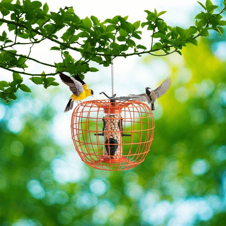 Outdoor Squirrel Resistant Orange Metal Mesh Small Bird Feeder-1