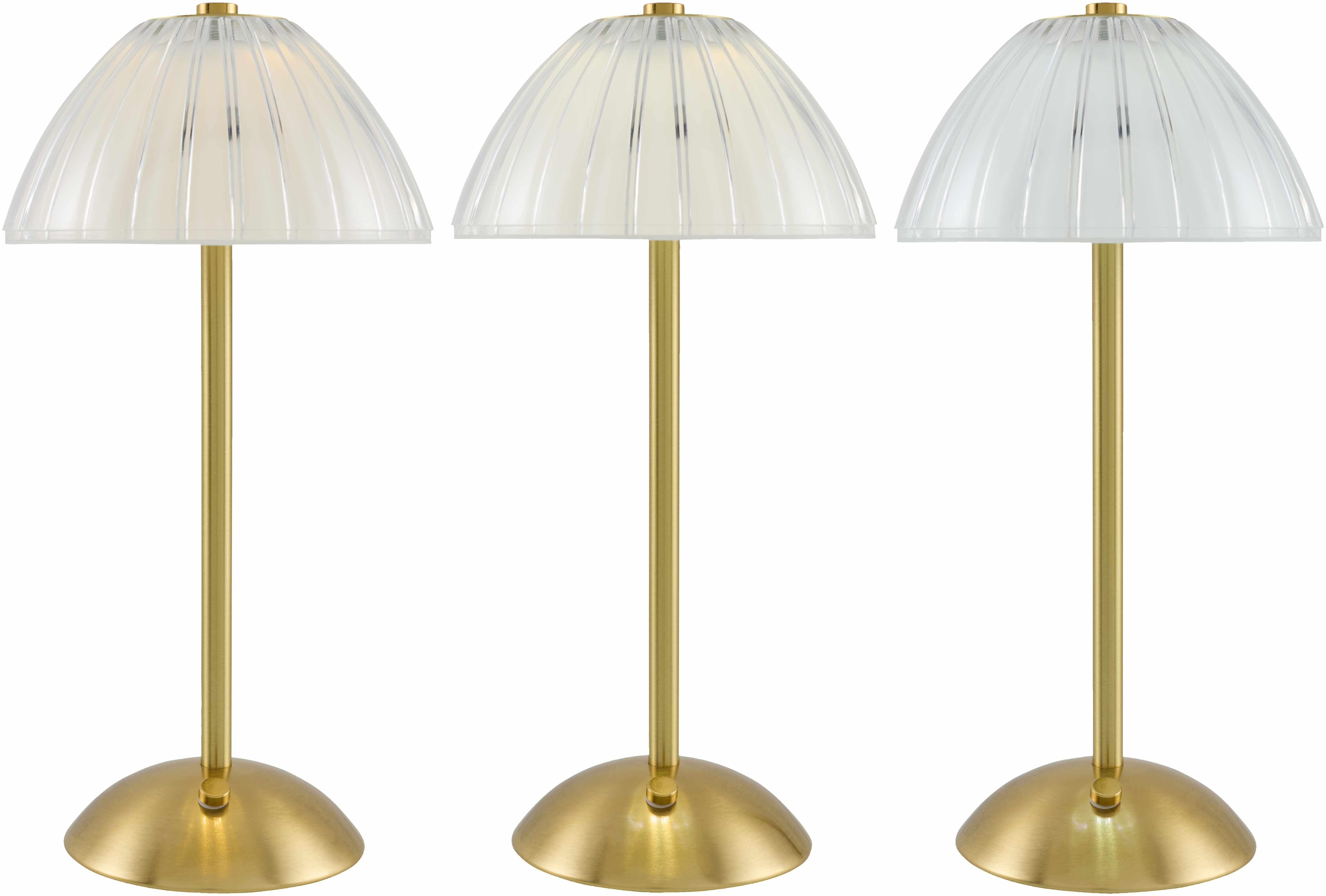 Sibirskiy Table Lamp-5