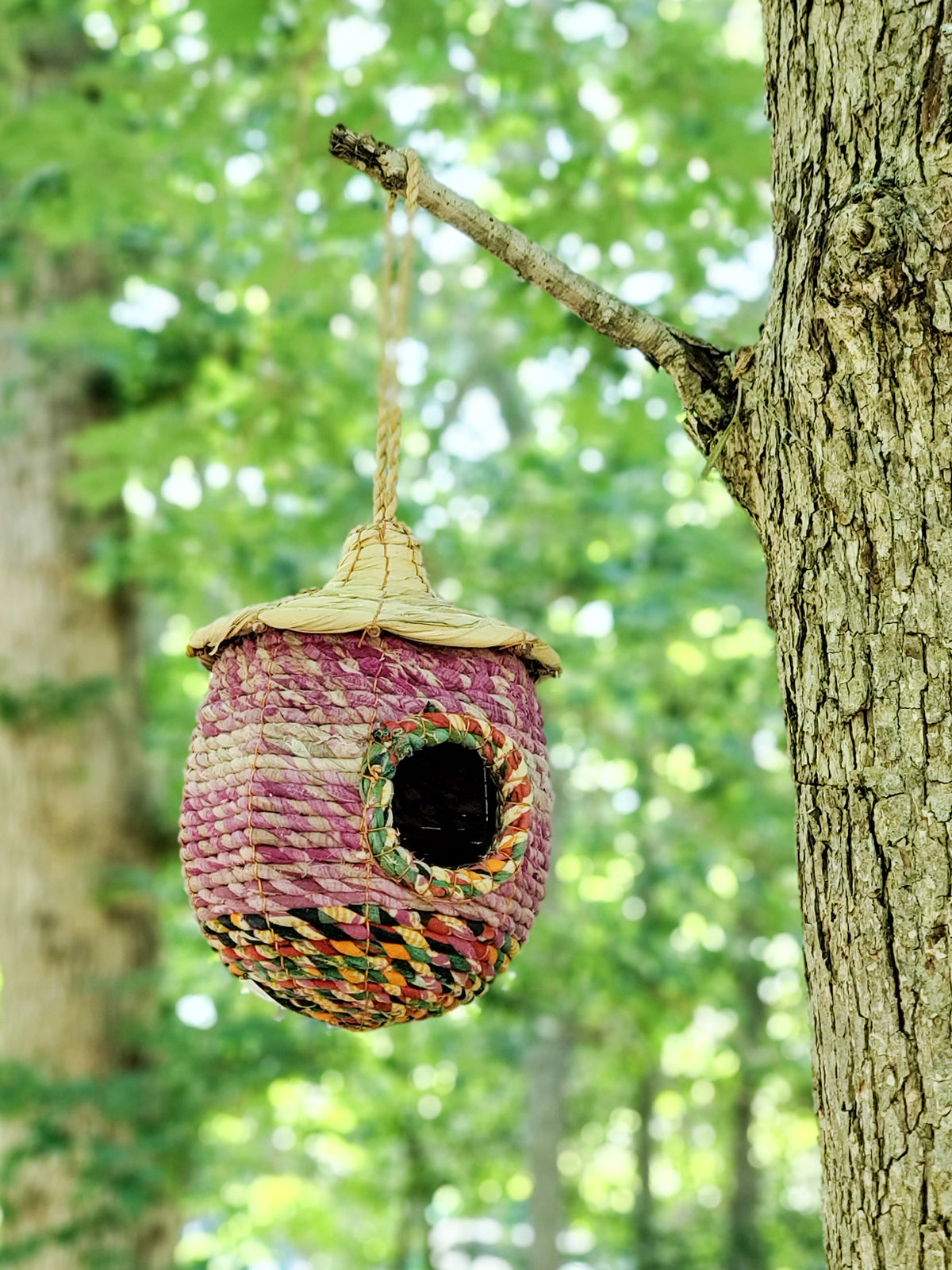 Seagrass & Sari Birdhouse - Acorn-1