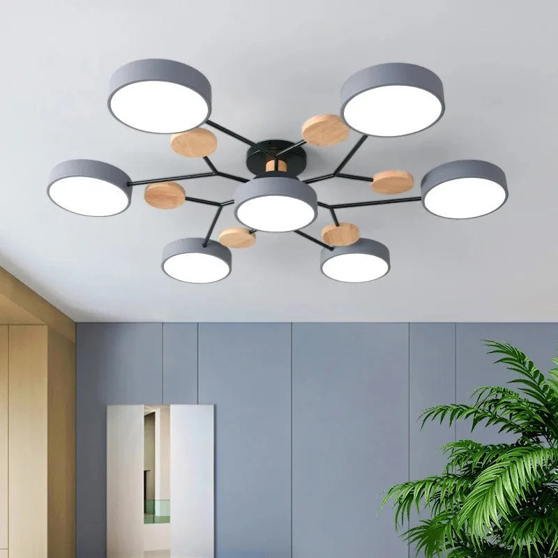 LED Ceiling Light Large Fixture