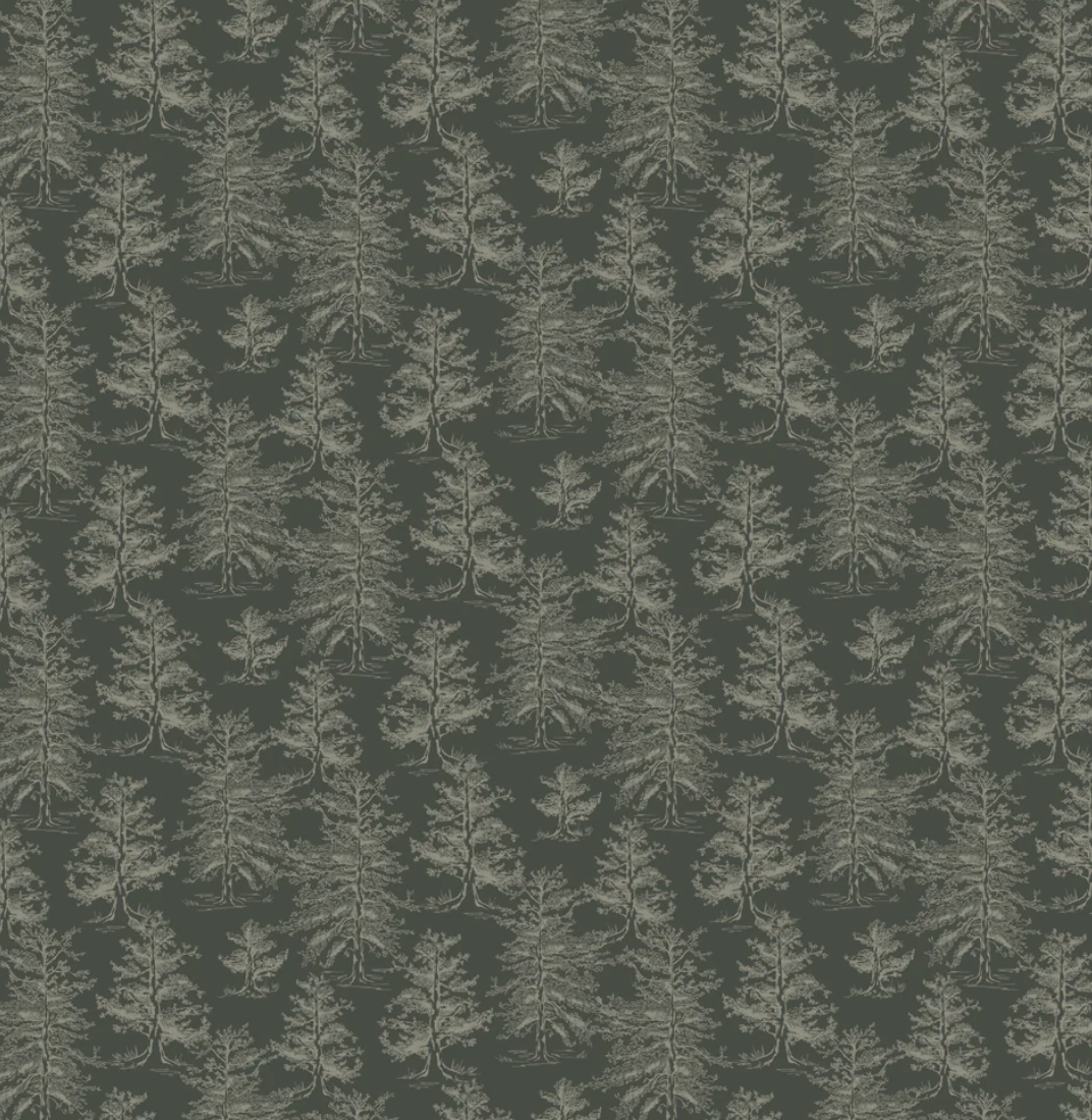 Boy Room Samples