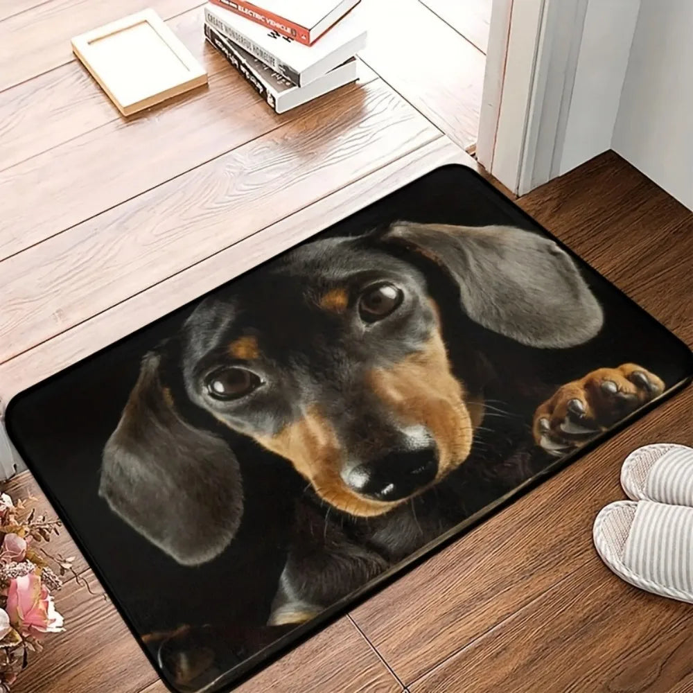 VIKAMA Adorable Dachshund Absorbent Non Slip Doormat Easy Clean Wear Resistant Entryway Rug Cute Pet Home Decor Mat