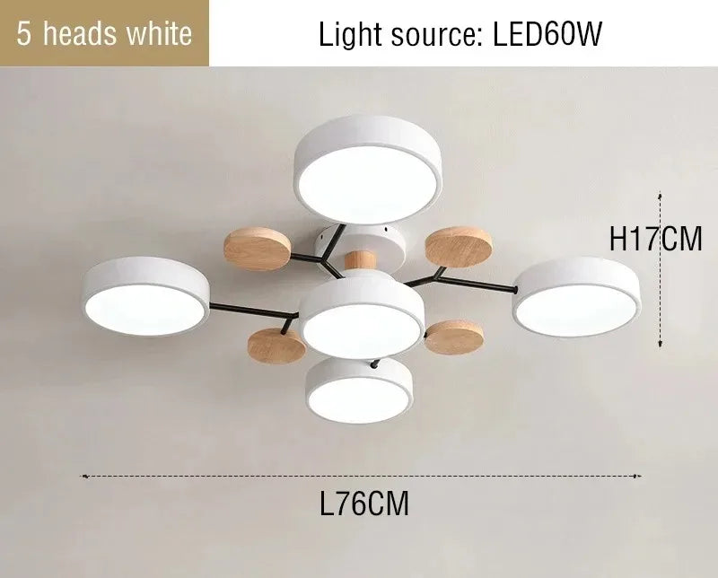 LED Ceiling Light Large Fixture