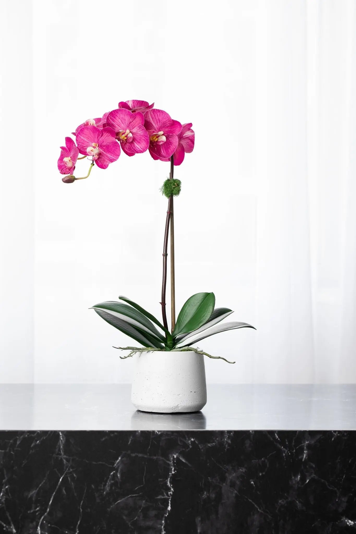Silk orchid plant - pink phalaenopsis orchid in white pot - 21"