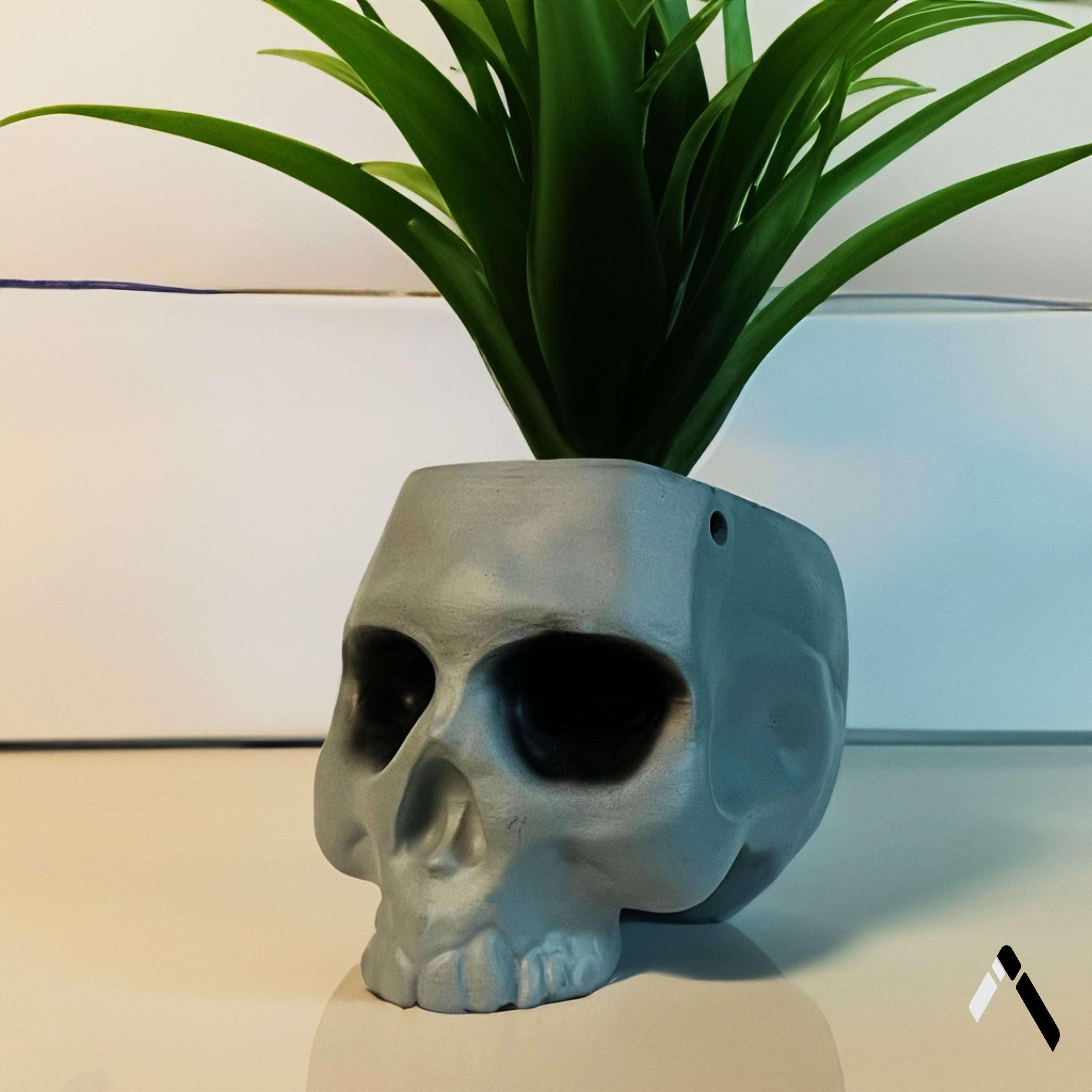 Skull Planter & Flower Vase-0