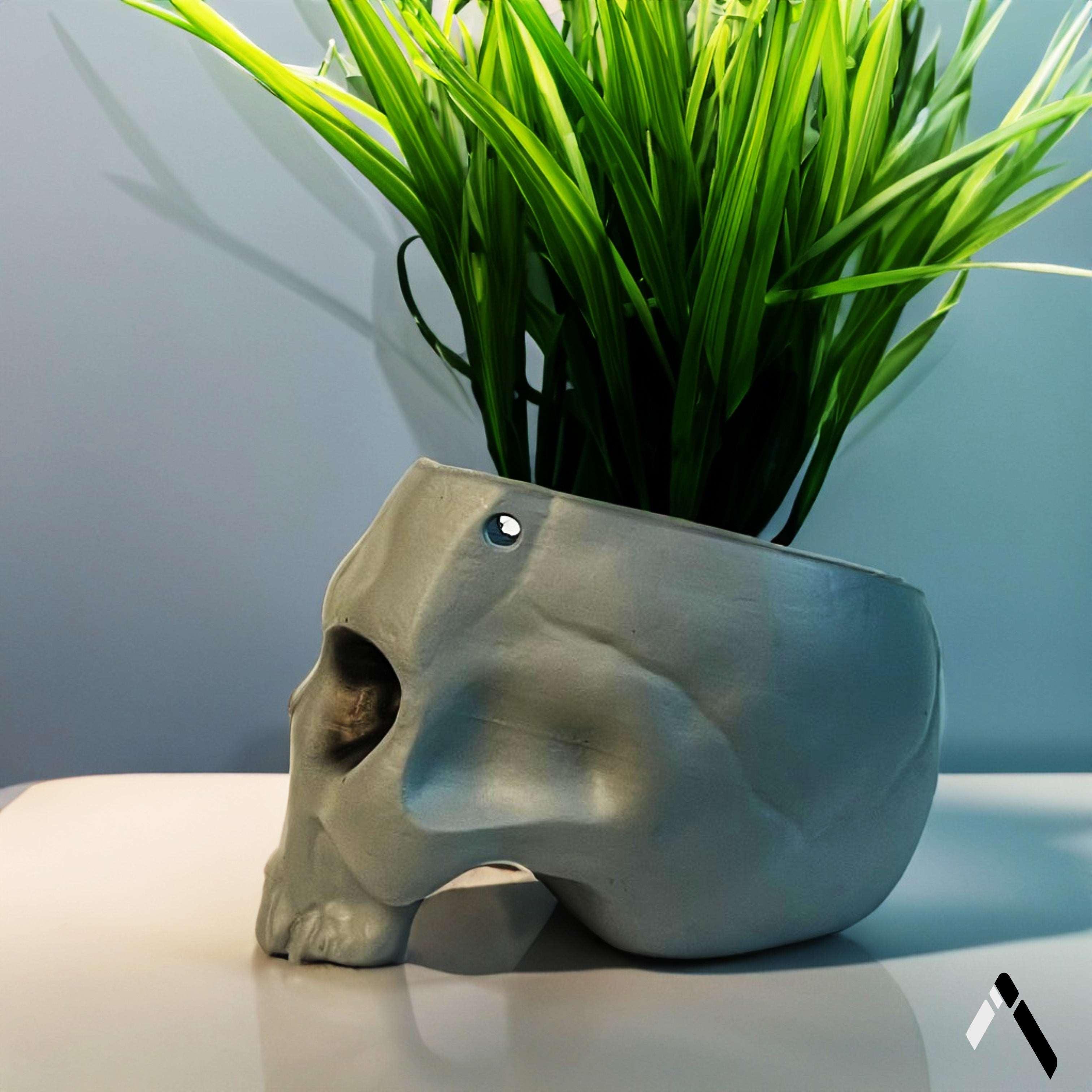 Skull Planter & Flower Vase-3