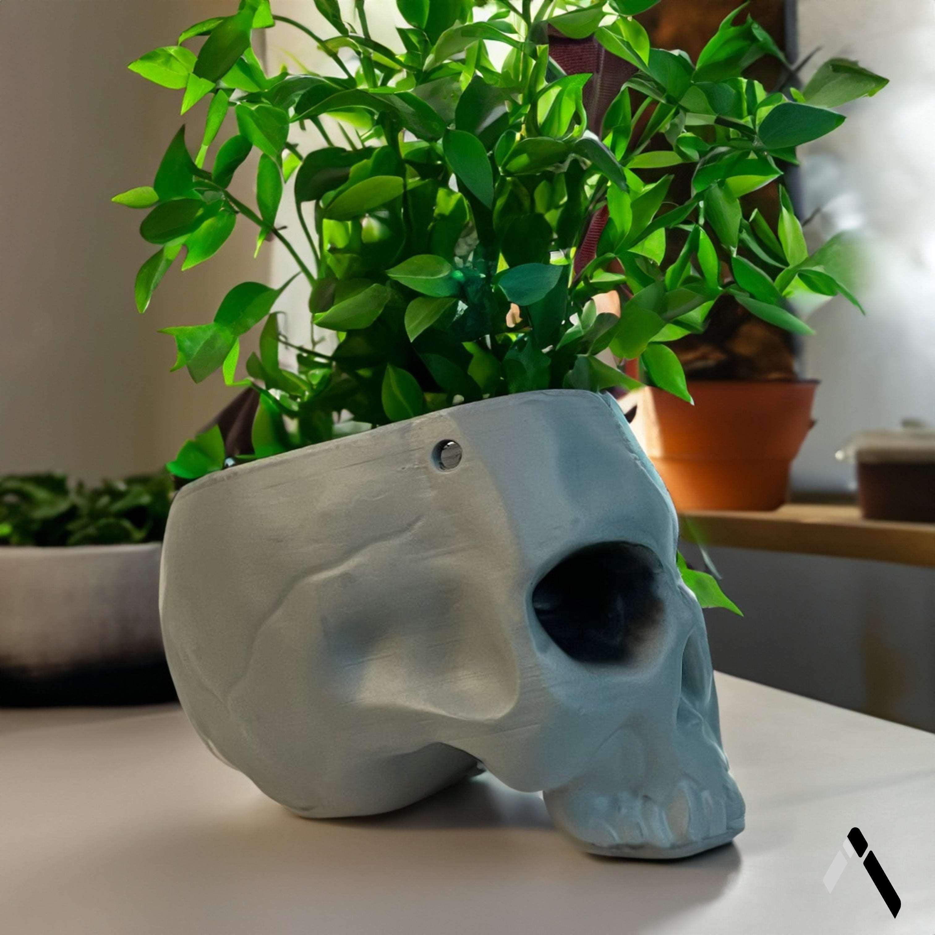 Skull Planter & Flower Vase-1