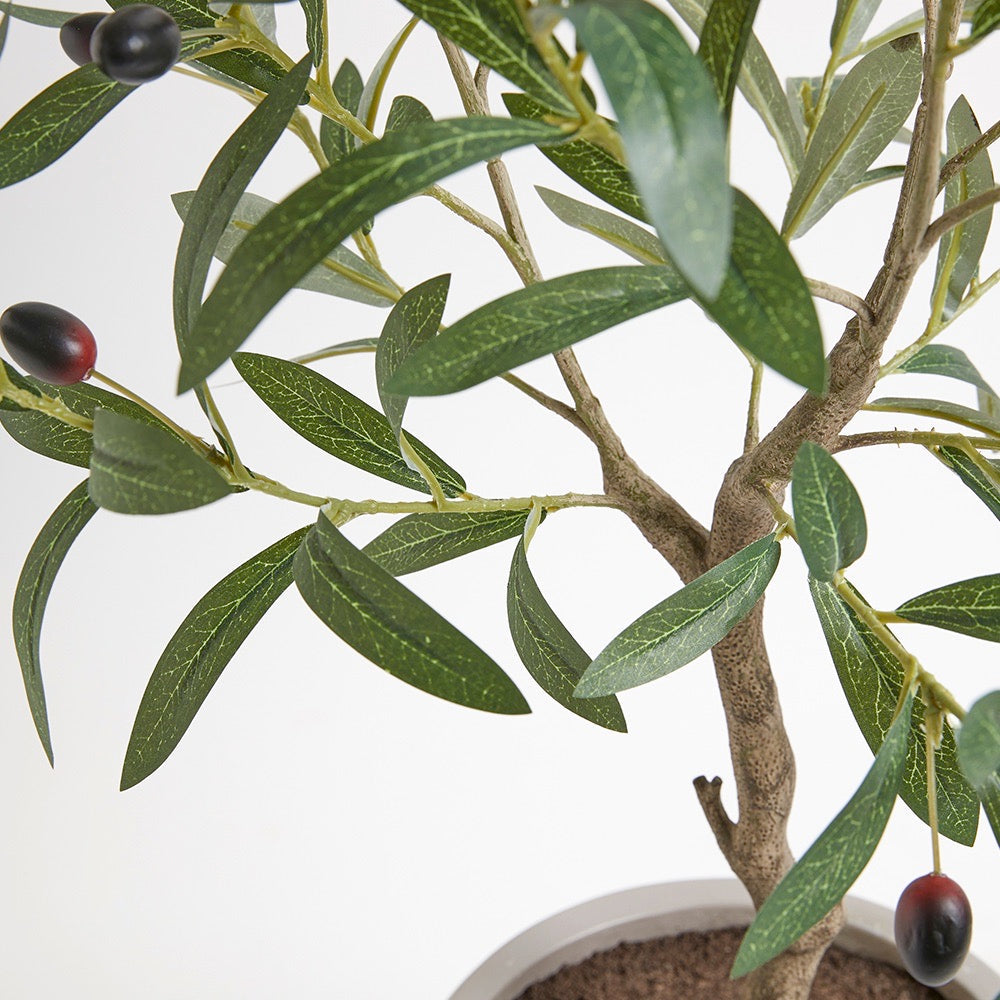 Artificial Olive Topiary Tree with Mediterranean Pot-2