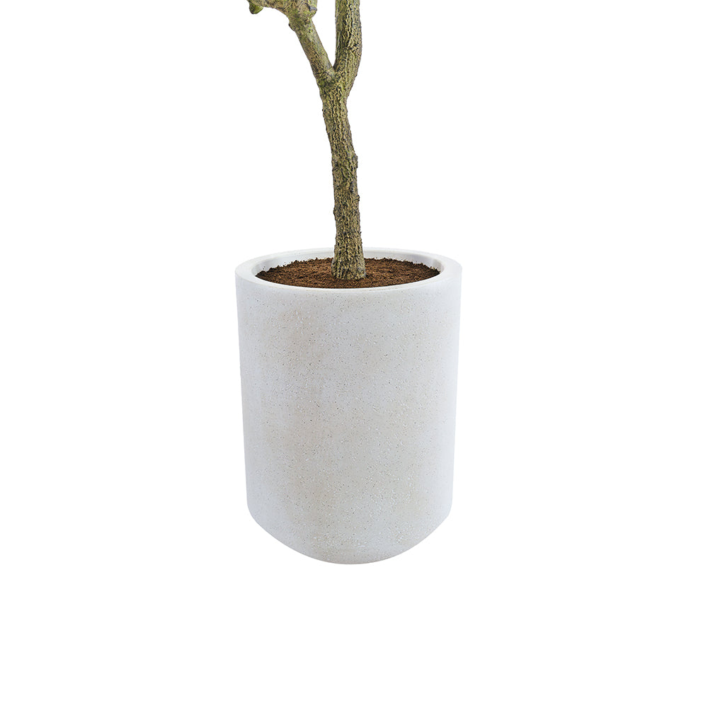 7ft Artificial Olive Tree with Planter-3