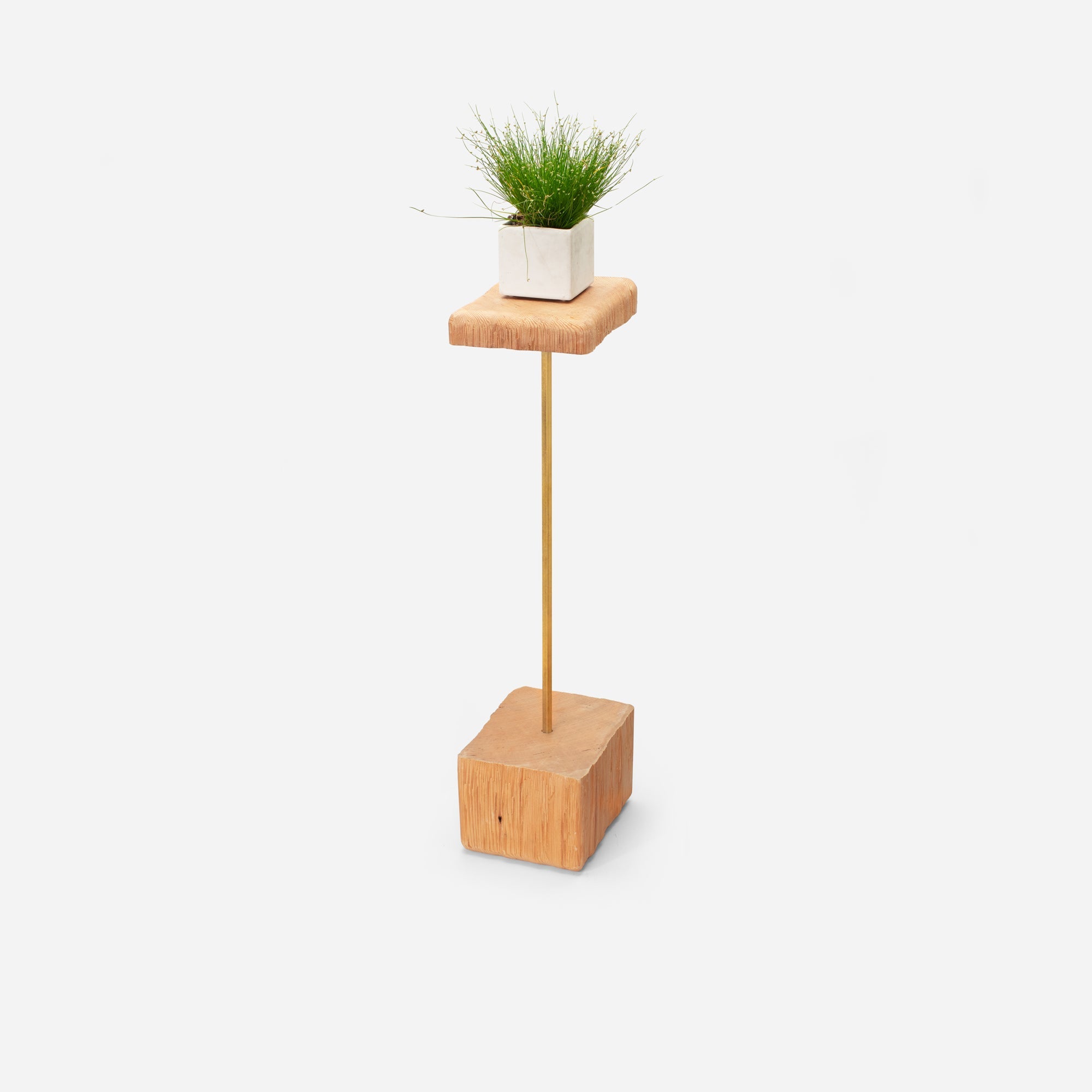 Stem plant holder-6