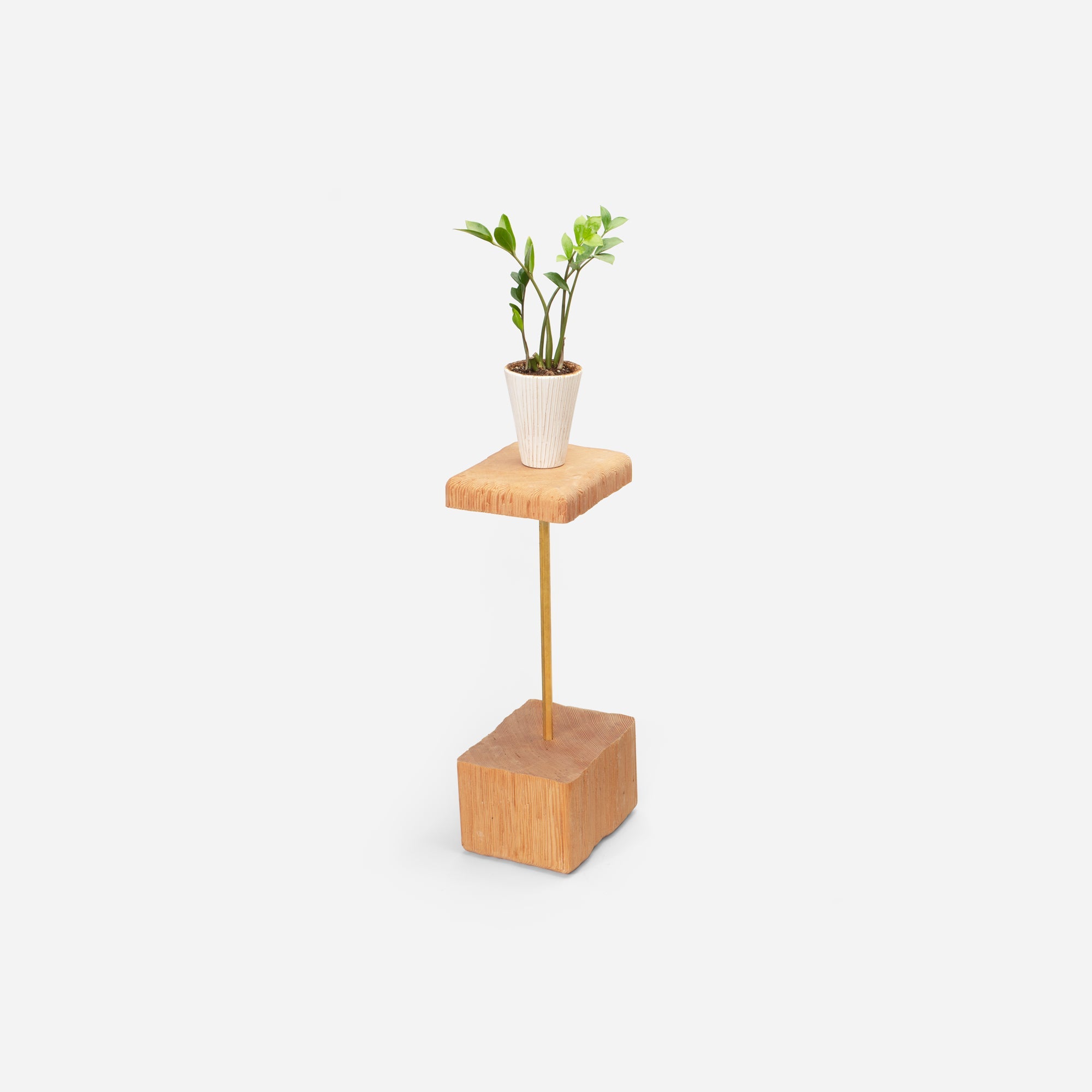 Stem plant holder-4