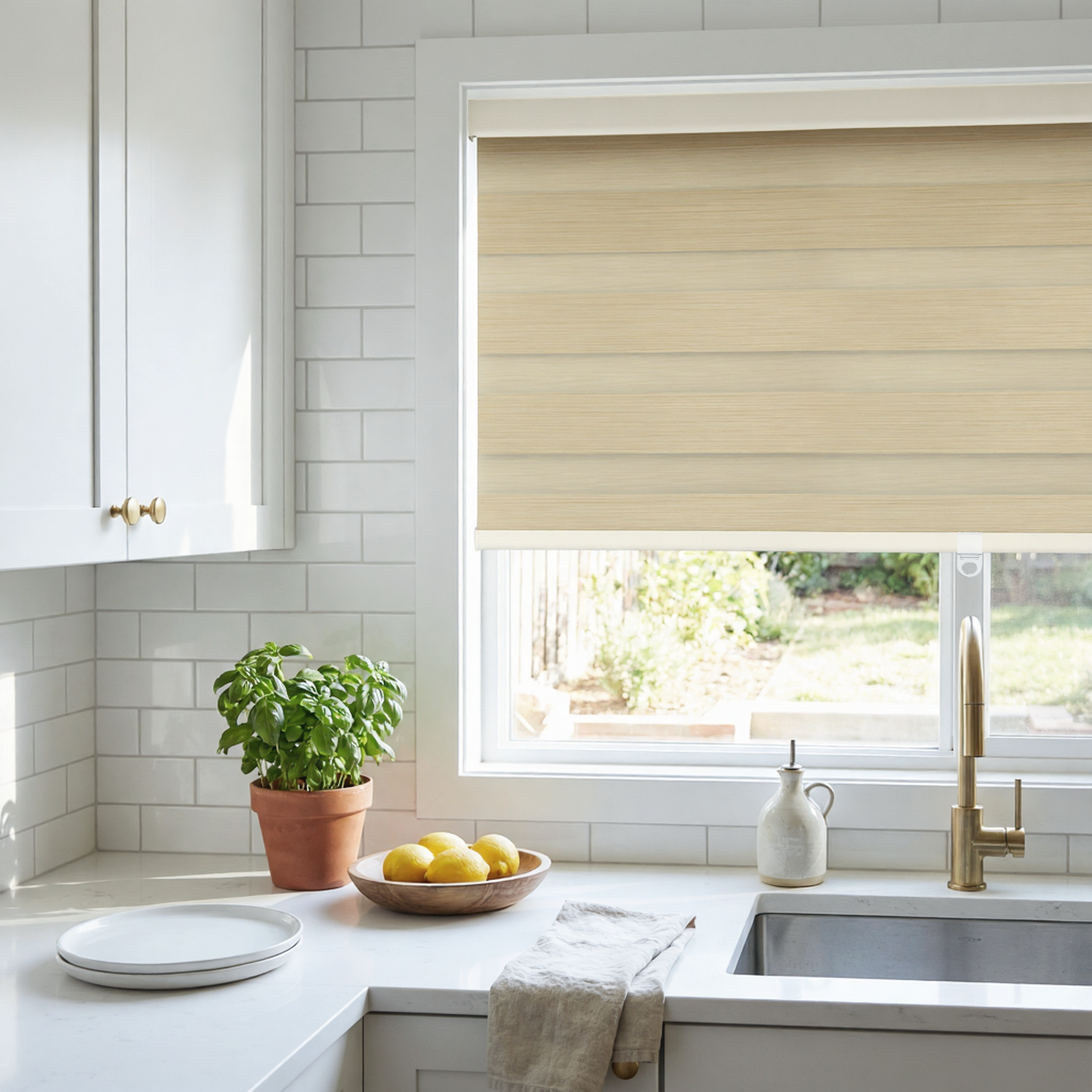 Terry Blackout Zebra Shade Cordless-1