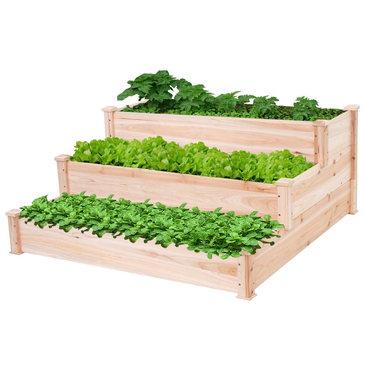 Solid Wood 4 Ft x 4 Ft Raised Garden Bed Planter 3-Tier-0