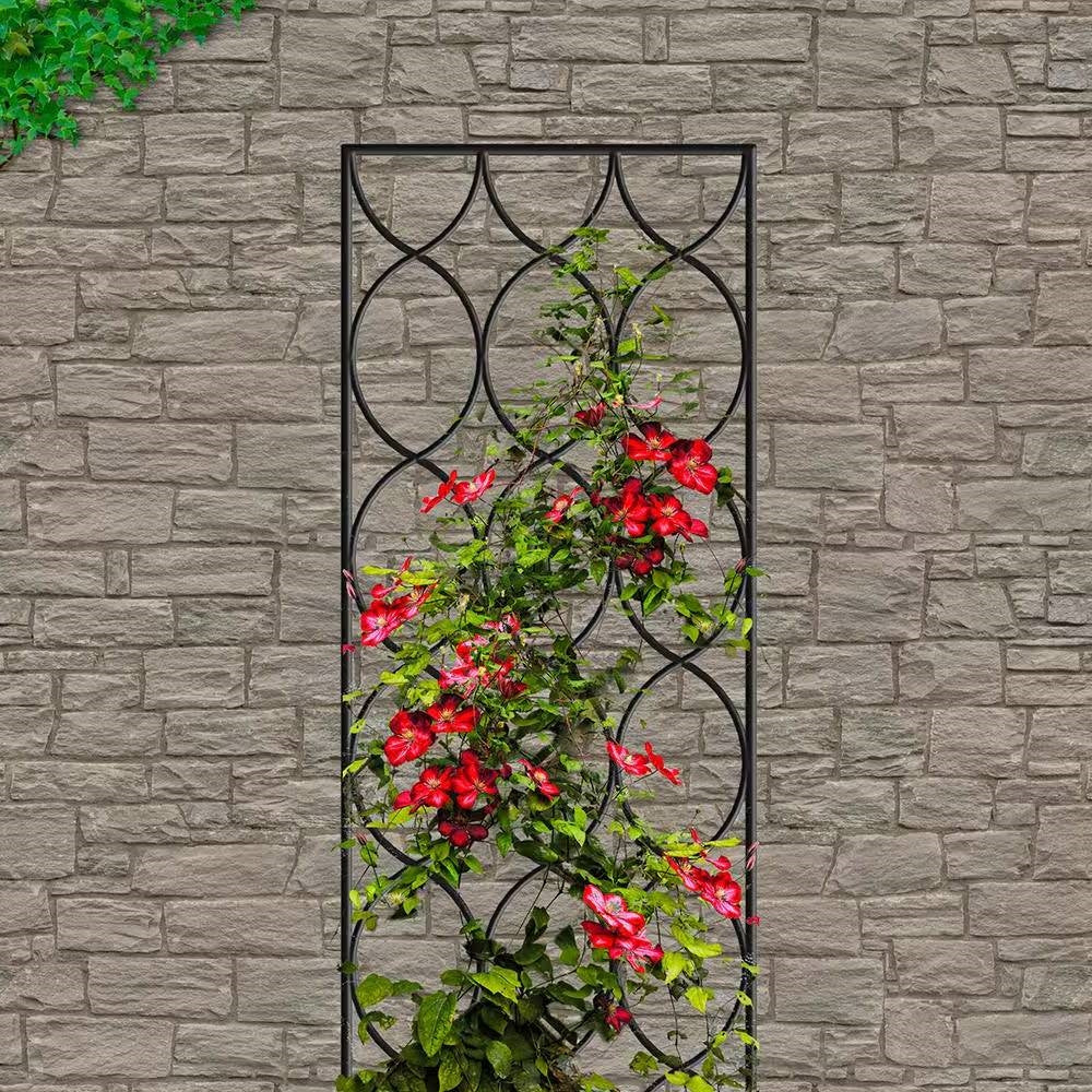 Modern 6-Ft Outdoor Metal Garden Trellis with Black Powder Coated Finish-1