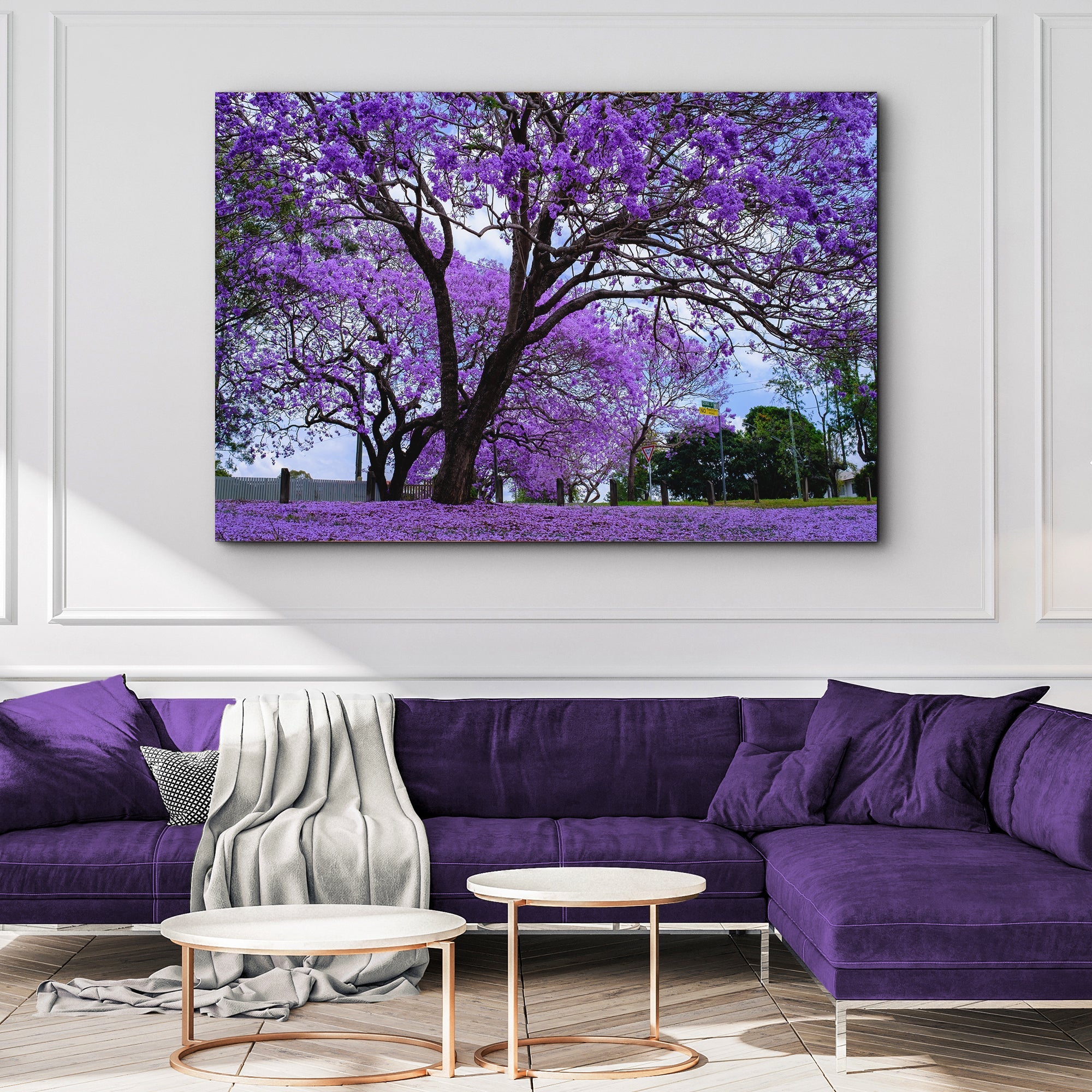 Jacaranda Trees Canvas Wall Art