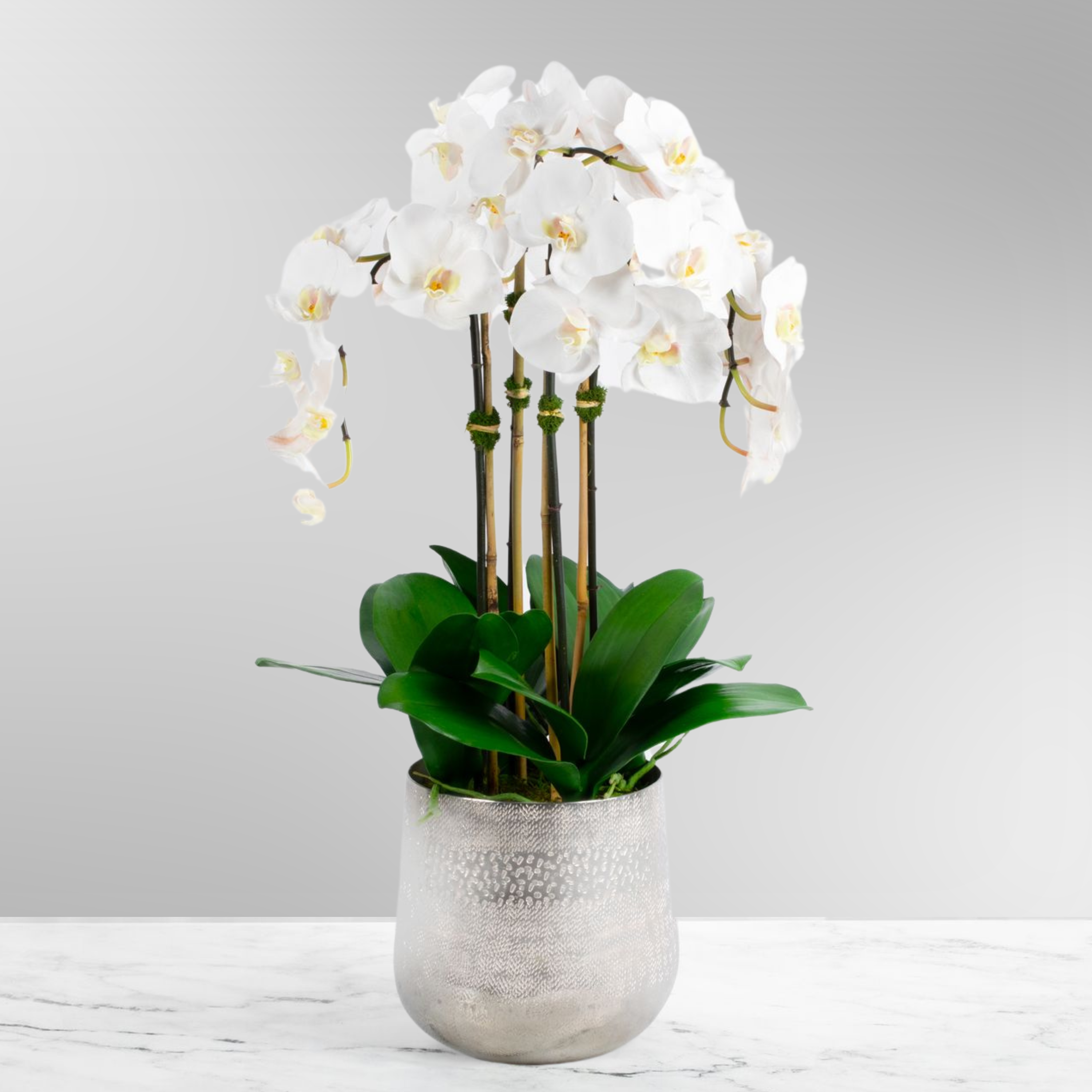 Tall Faux Orchid Arrangement in Vase-0