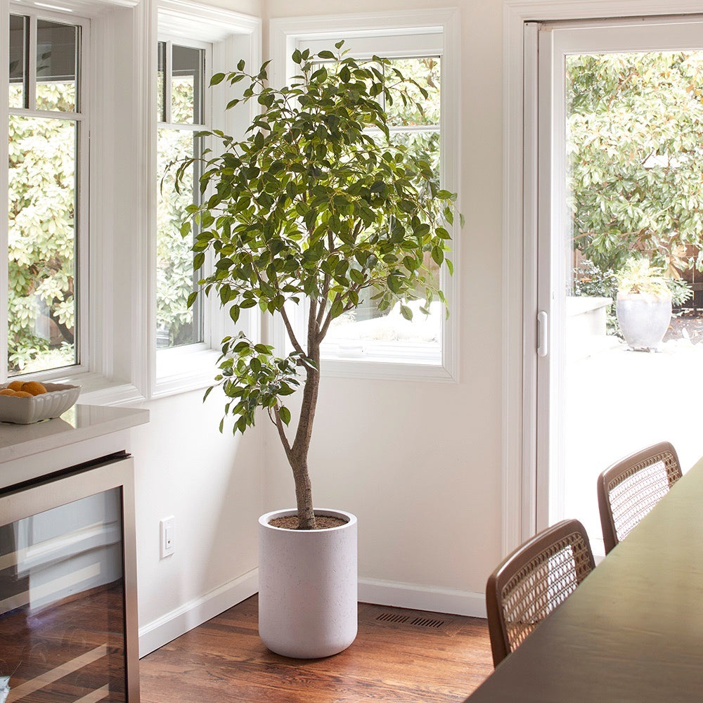 Artificial Ficus Tree with Artisan Planter, 6.5'-1
