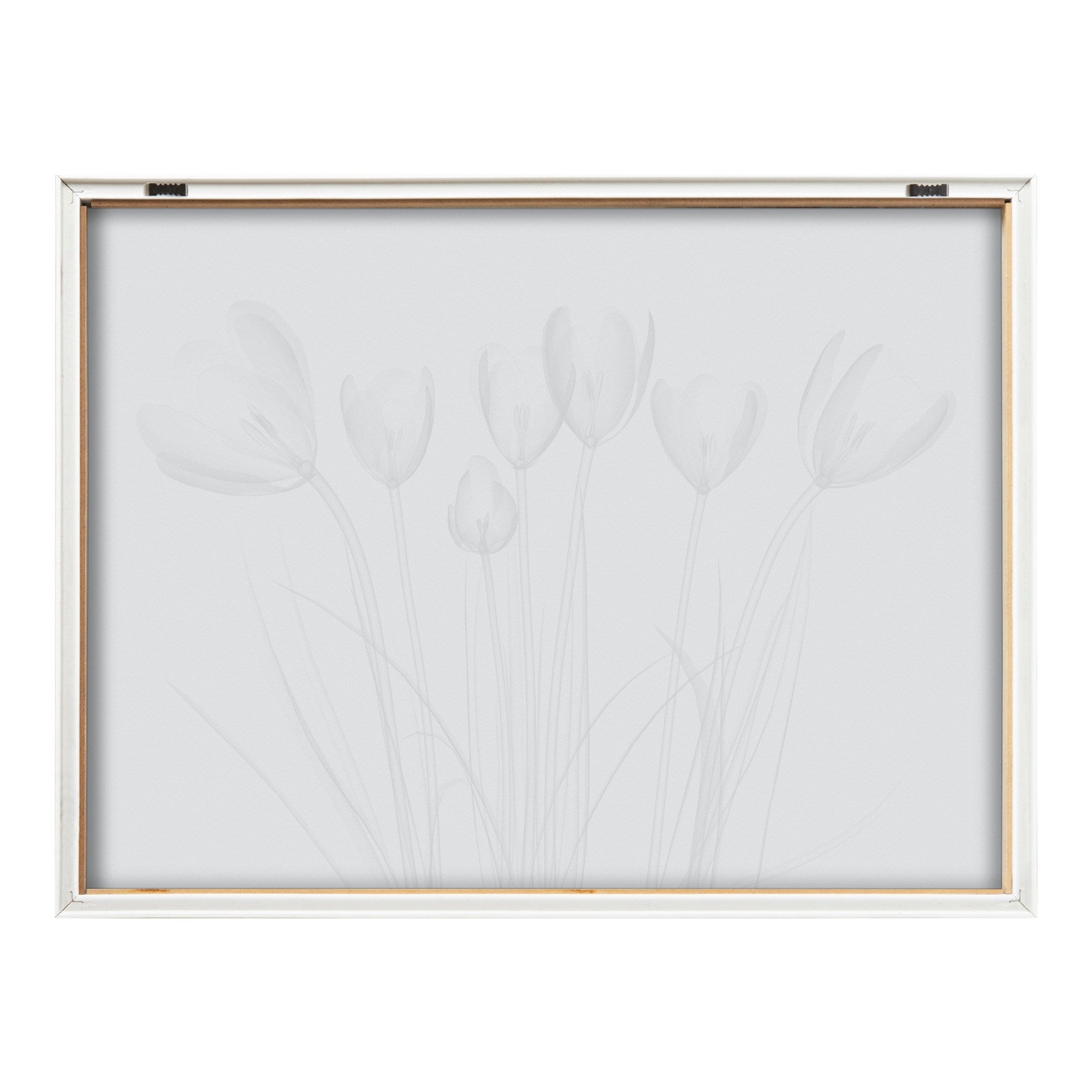 Blake Crocus X Ray Floral BW Framed Printed Art by The Creative Bunch Studio