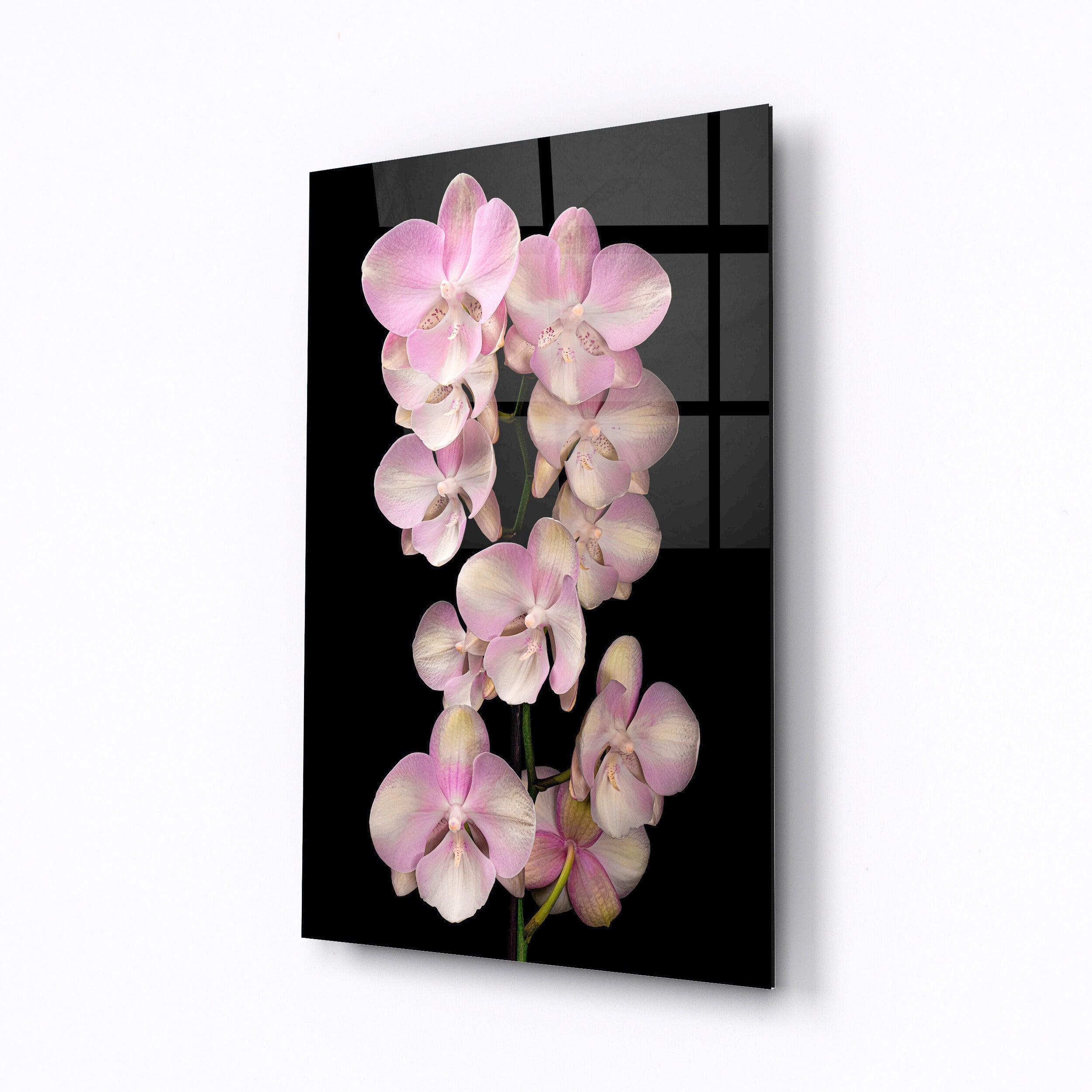 Tempered glass wall art Pink flowers-0