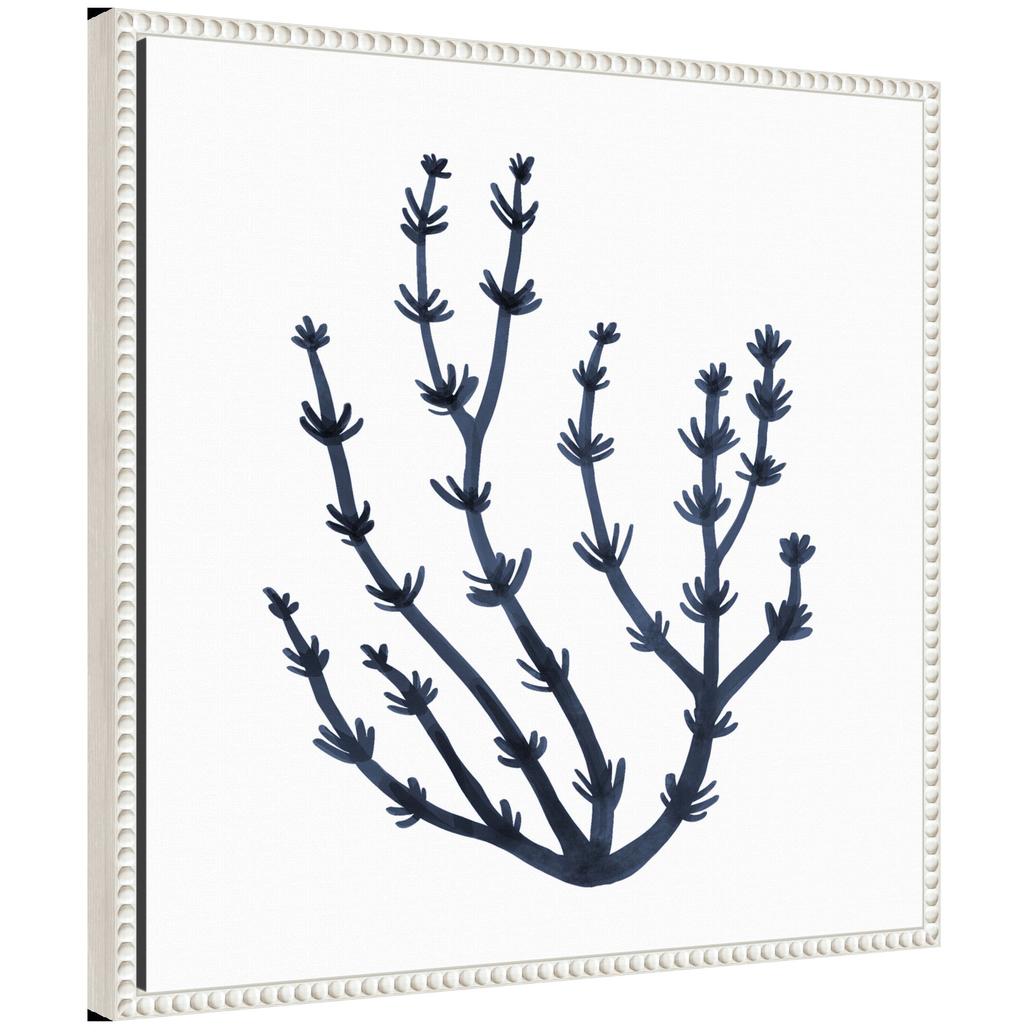 Sylvie Coastal Coral Seaweed Botanical 6 Framed Canvas by The Creative Bunch Studio