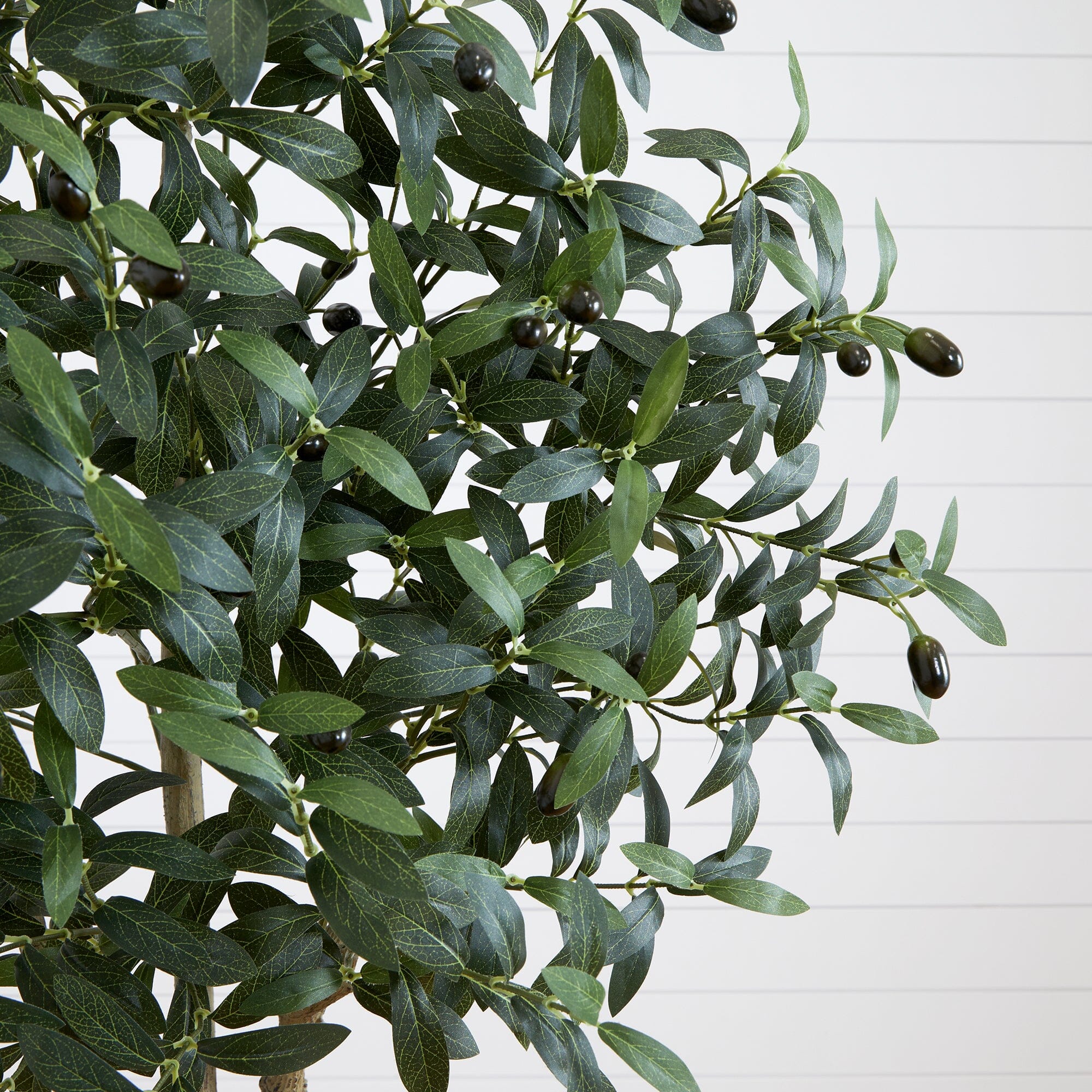 Faux Olive Tree in White Planter-4