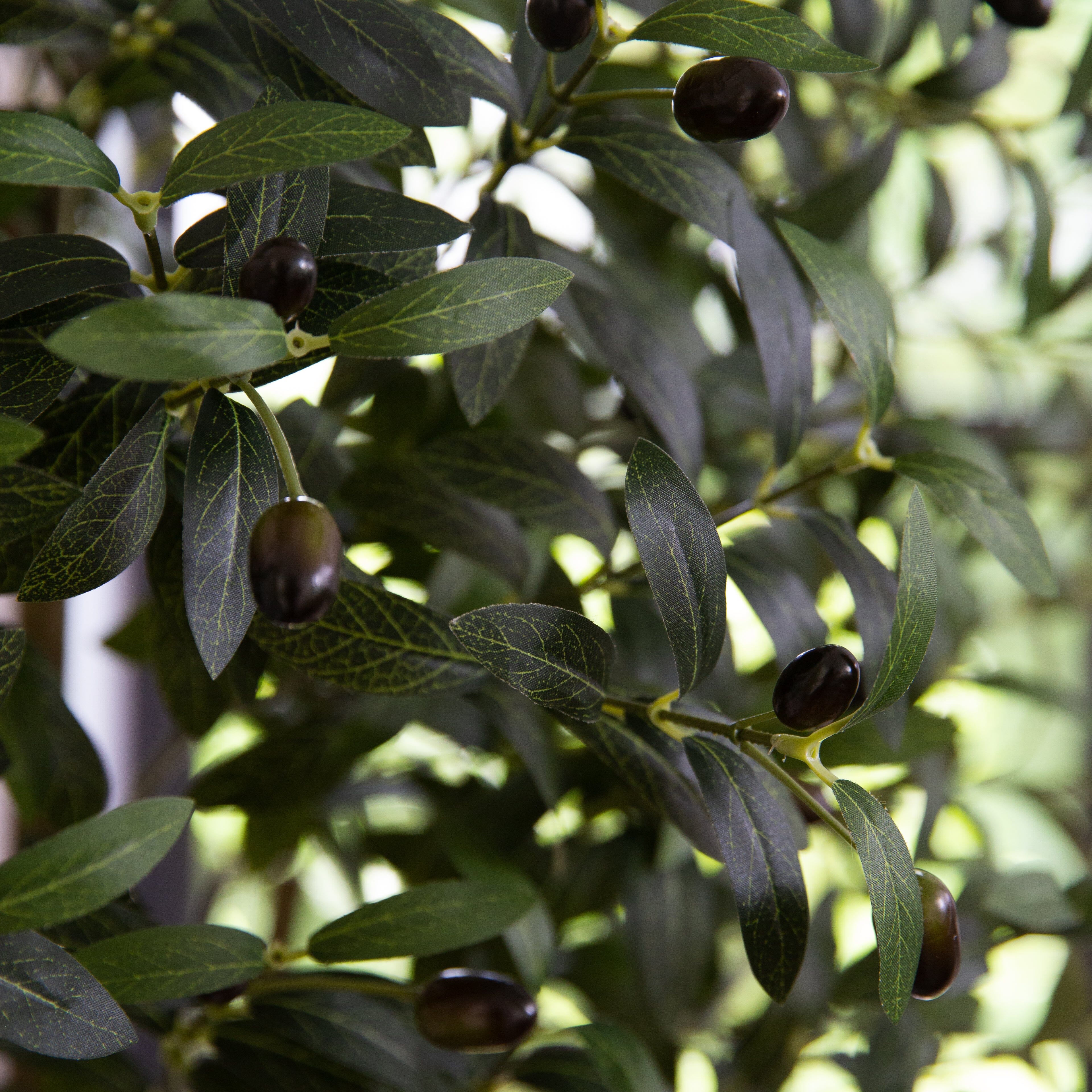 Faux Olive Tree in White Planter-1