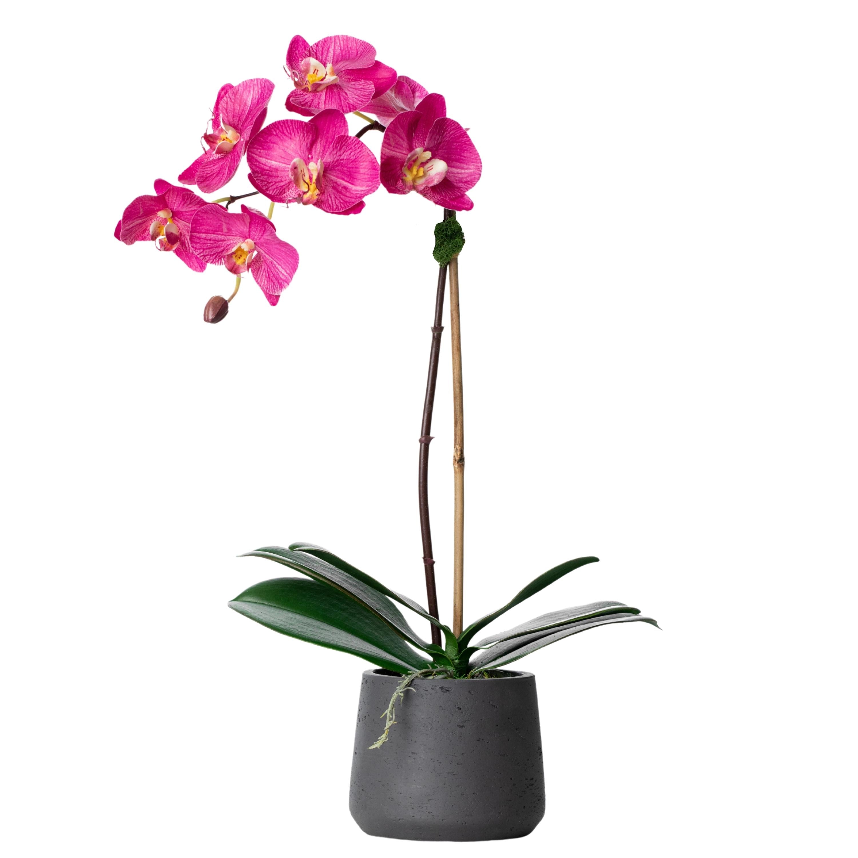 Artificial orchid plant - pink phalaenopsis orchid in black pot - 21"-1