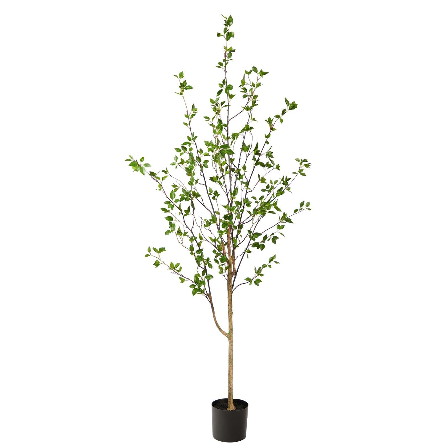 Minimalist Artificial Tree, Citrus Tree 6.5'-0