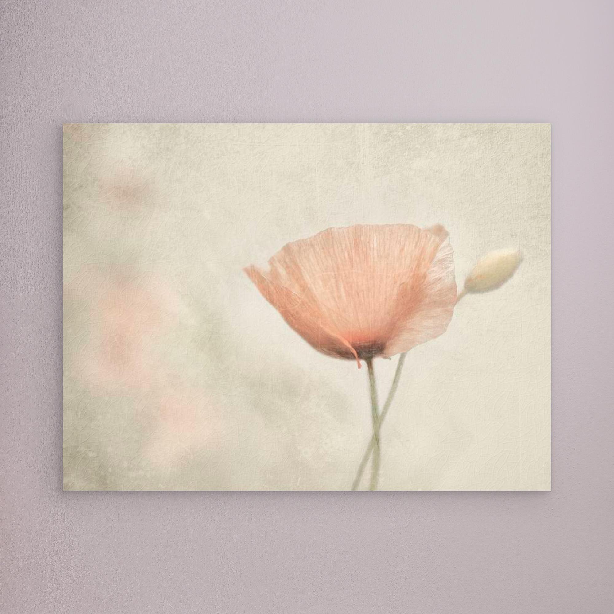 jewel of nature by Gilbert Claes