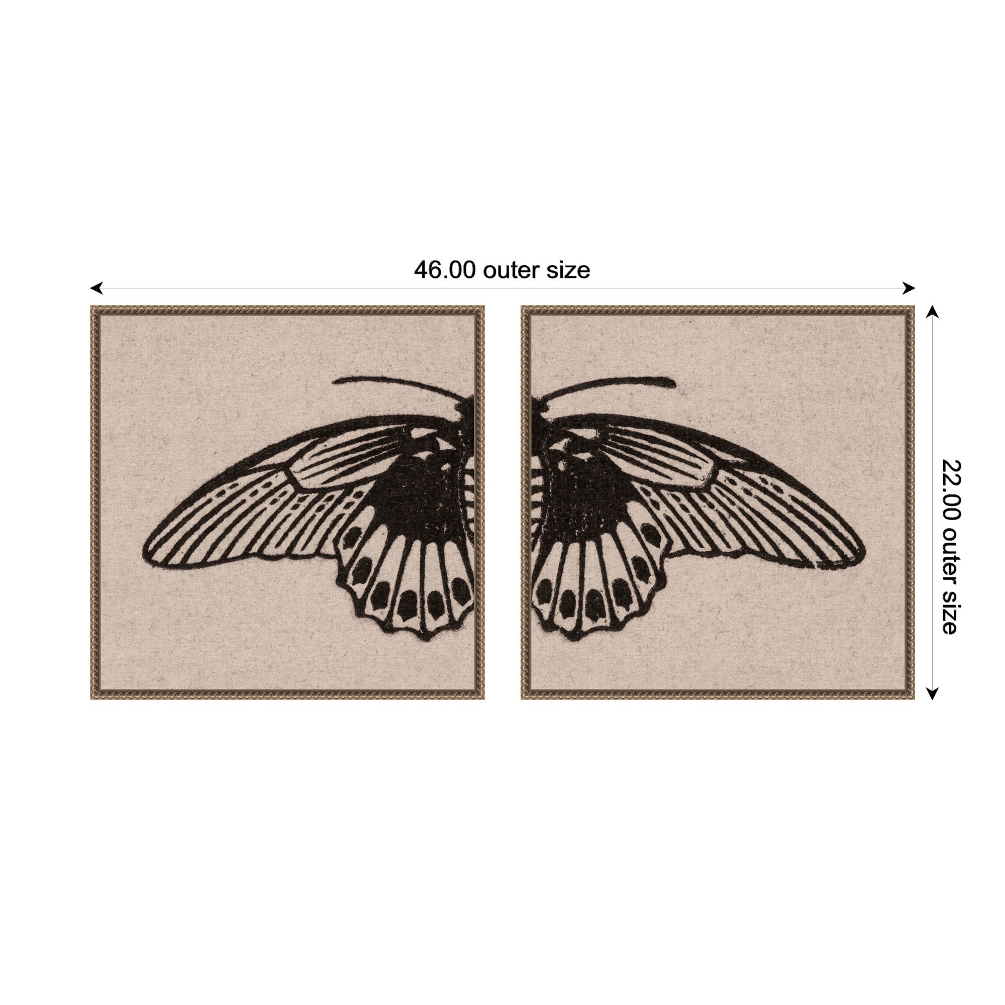 Vlinder 1901 Julie de Graag No. 1 & No. 2 2 Piece Framed Canvas Wall Art Set by Nostalgia Prints