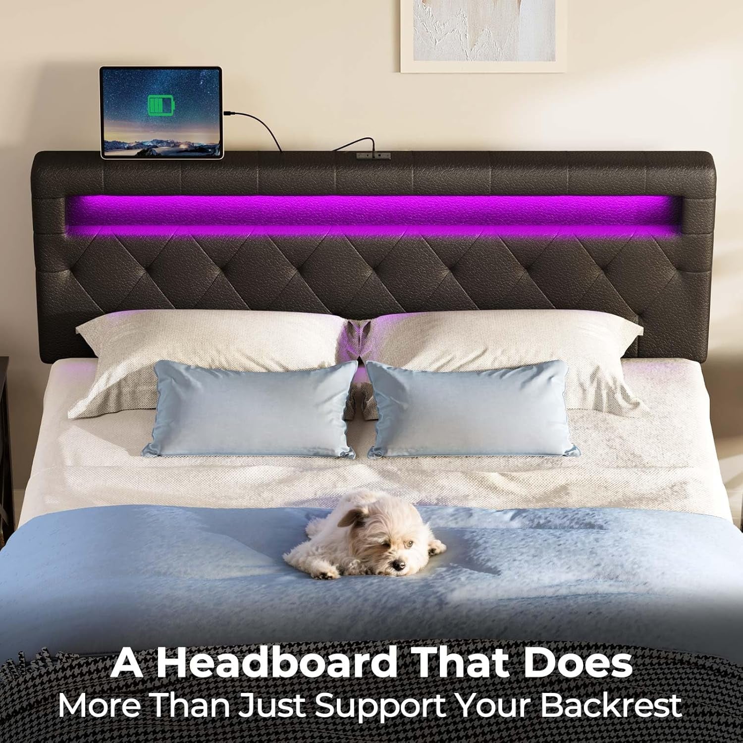 Adjustable Queen Size Headboard with 60000 LED Colors
