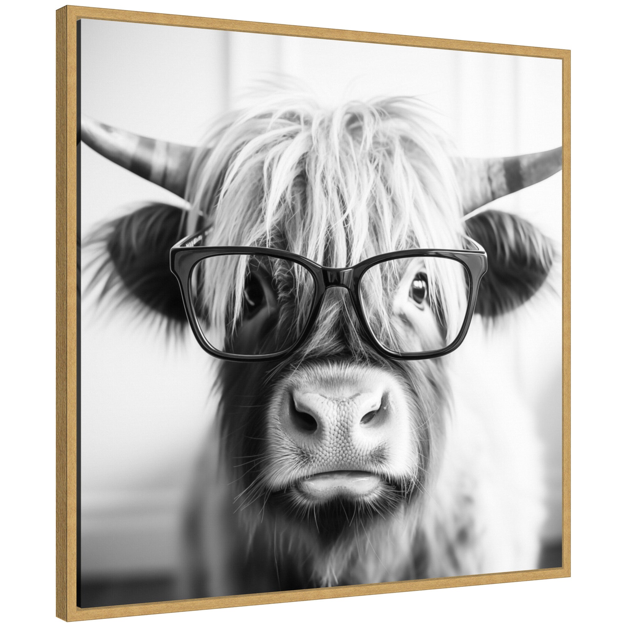Sylvie Black and White Highland Cow in Reading Glasses Framed Canvas by The Creative Bunch Studio