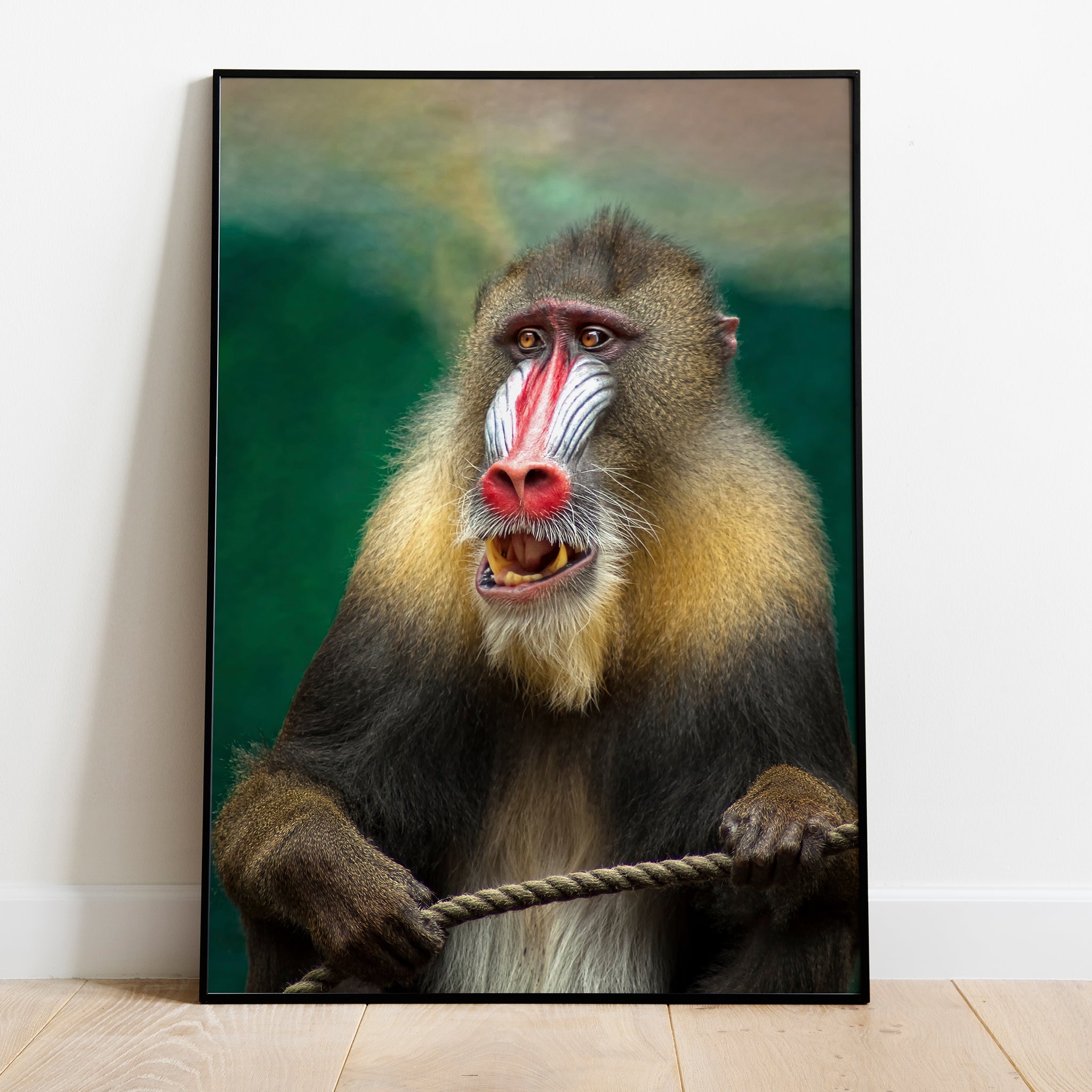 BABOON-0