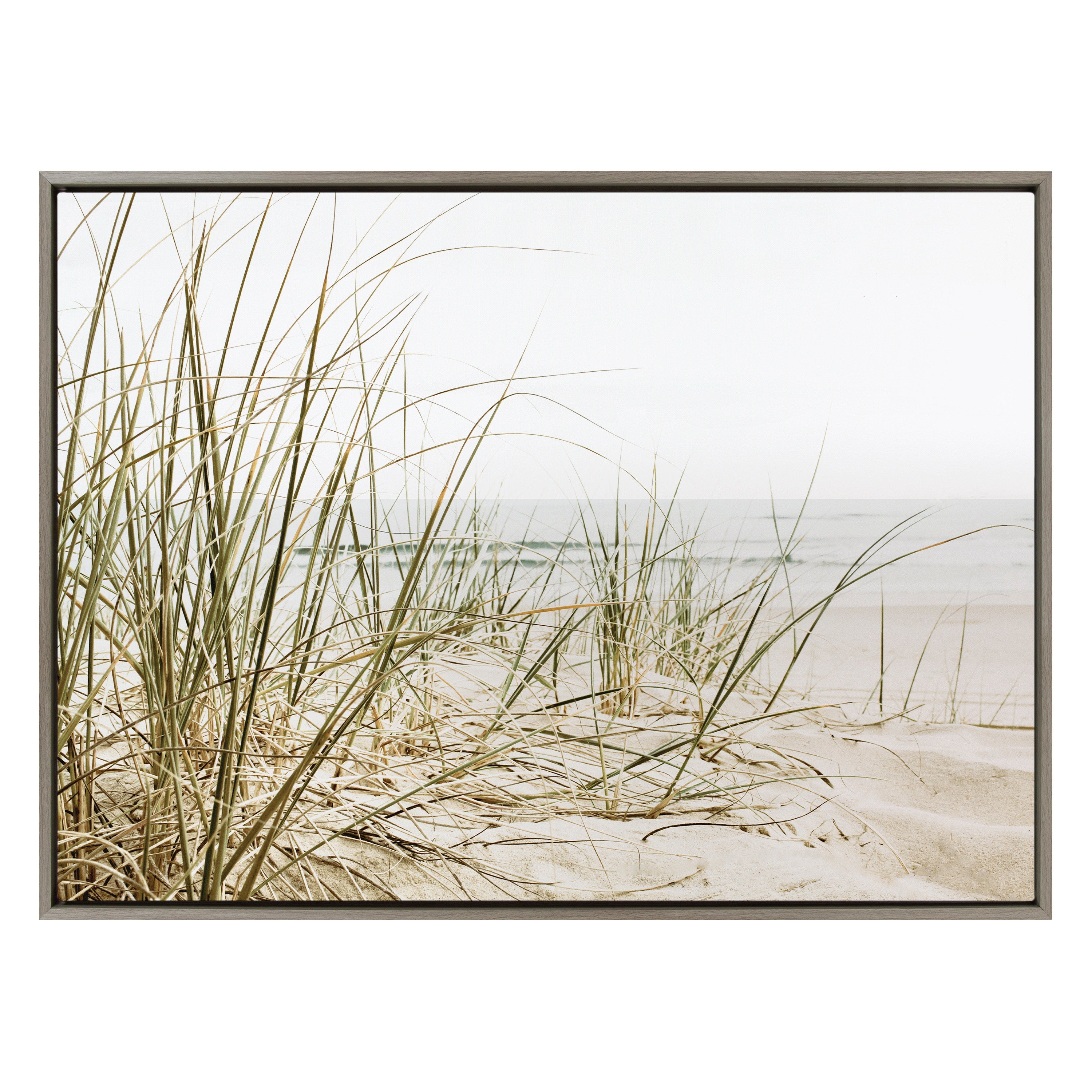 Sylvie Calming Beach Grass Framed Canvas by The Creative Bunch Studio