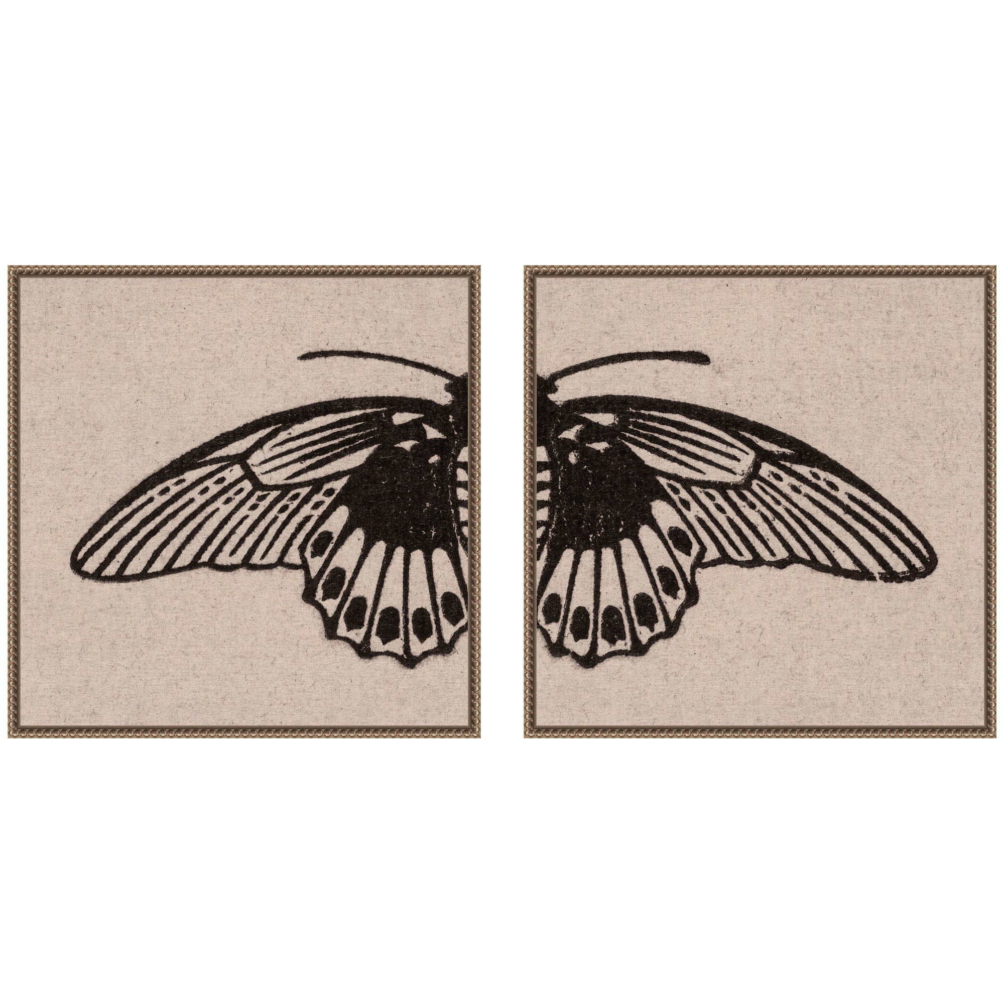 Vlinder 1901 Julie de Graag No. 1 & No. 2 2 Piece Framed Canvas Wall Art Set by Nostalgia Prints