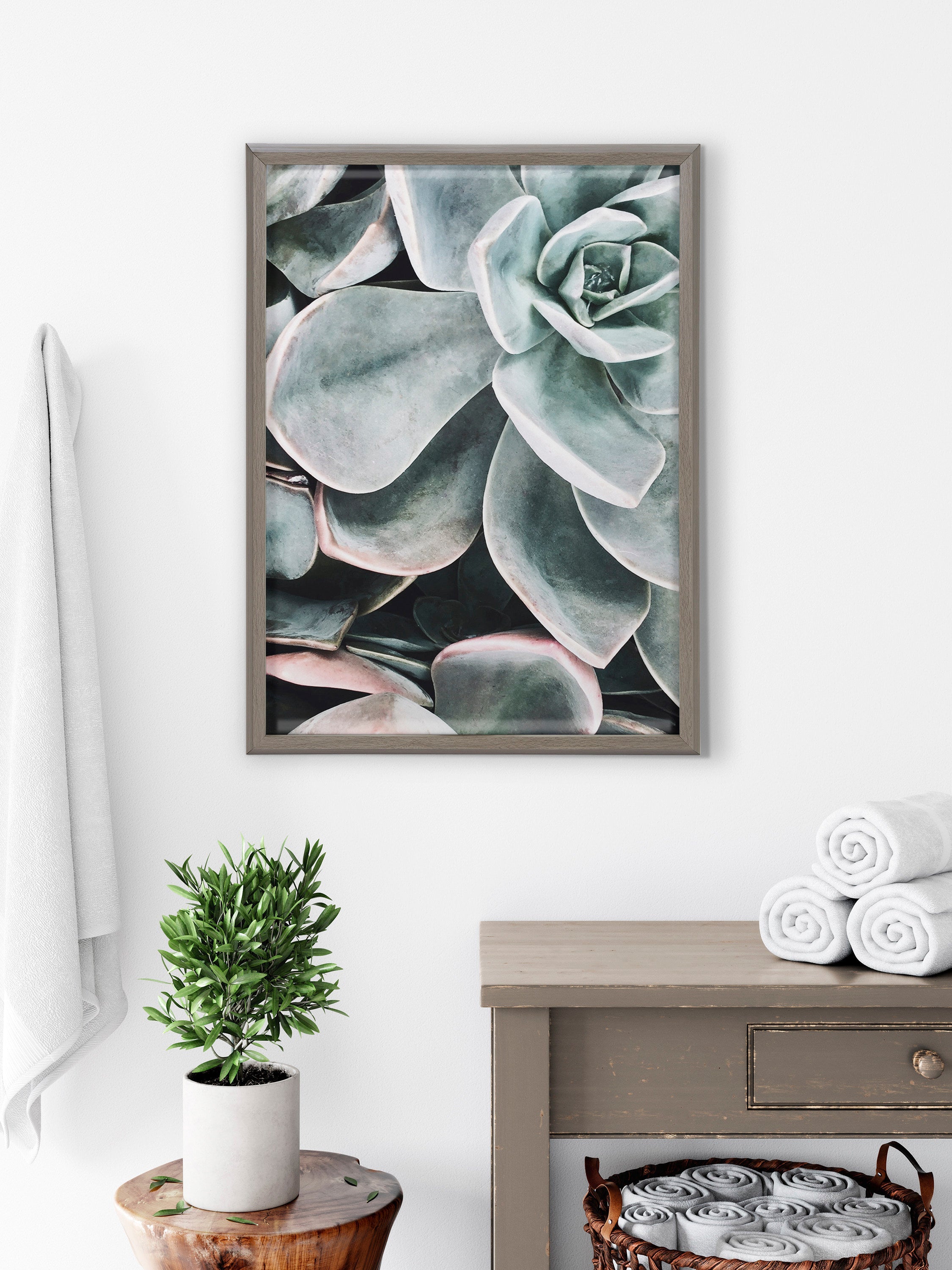 Blake Botanical Succulent Plants 2 Framed Printed Glass by The Creative Bunch Studio