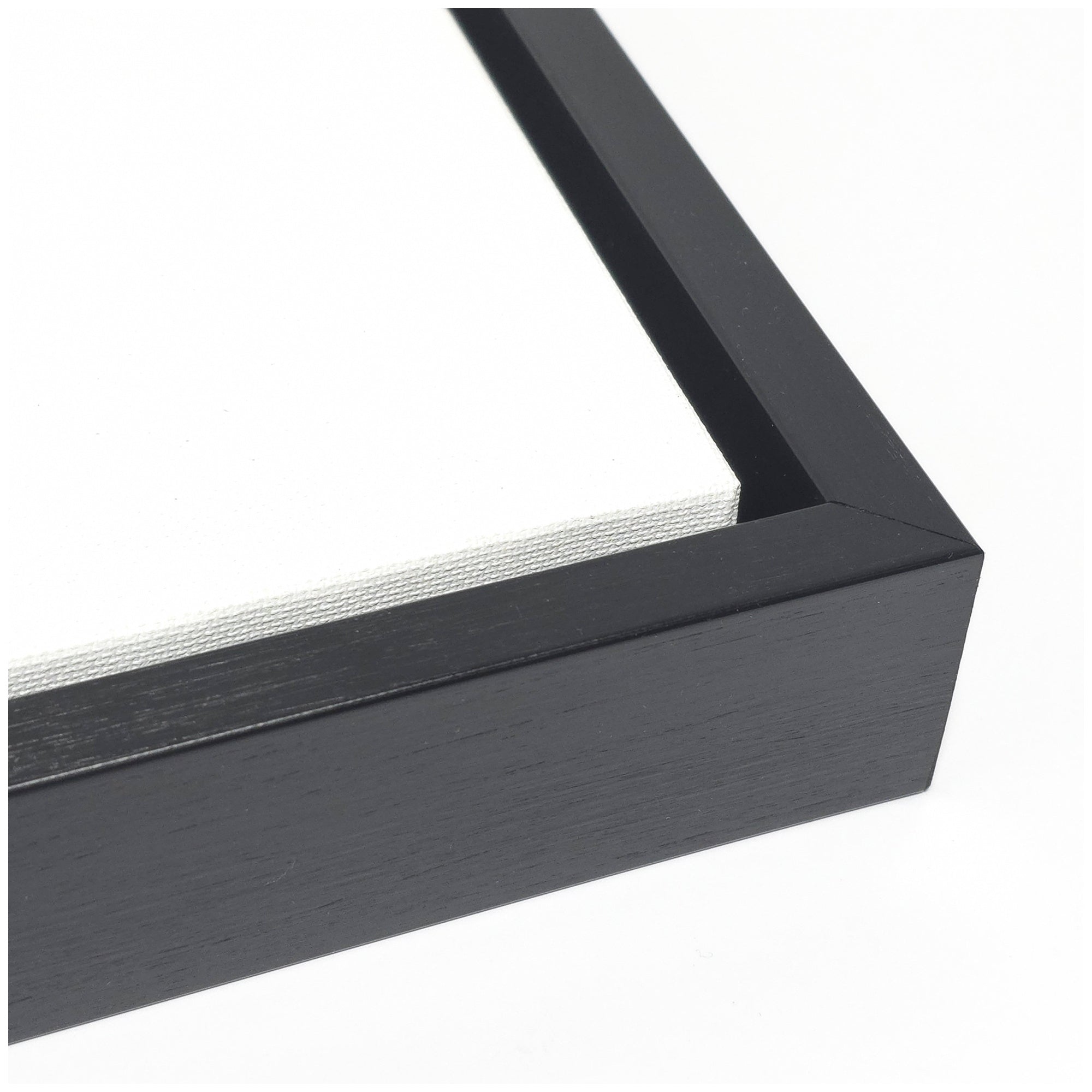 Sylvie Black Twist 4 Framed Canvas by Alicia Bock