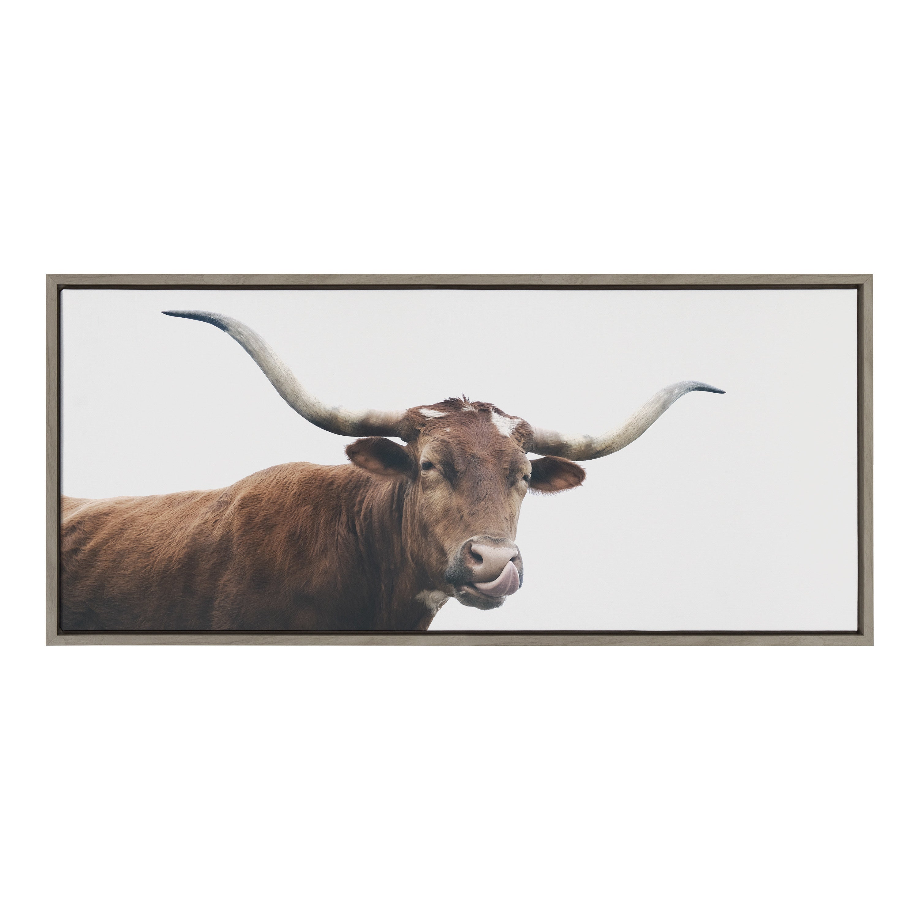 Sylvie Texas Longhorn Cow Lick Framed Canvas by The Creative Bunch Studio
