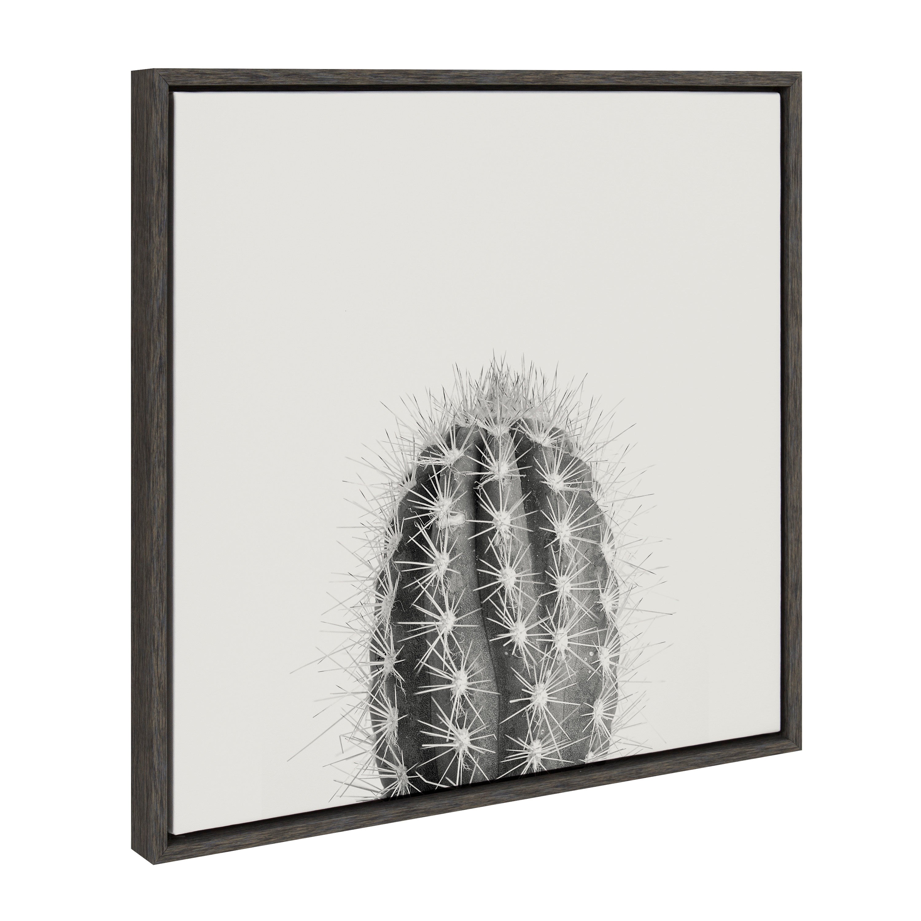 Sylvie Haze Cactus Succulent Tall Framed Canvas by The Creative Bunch Studio