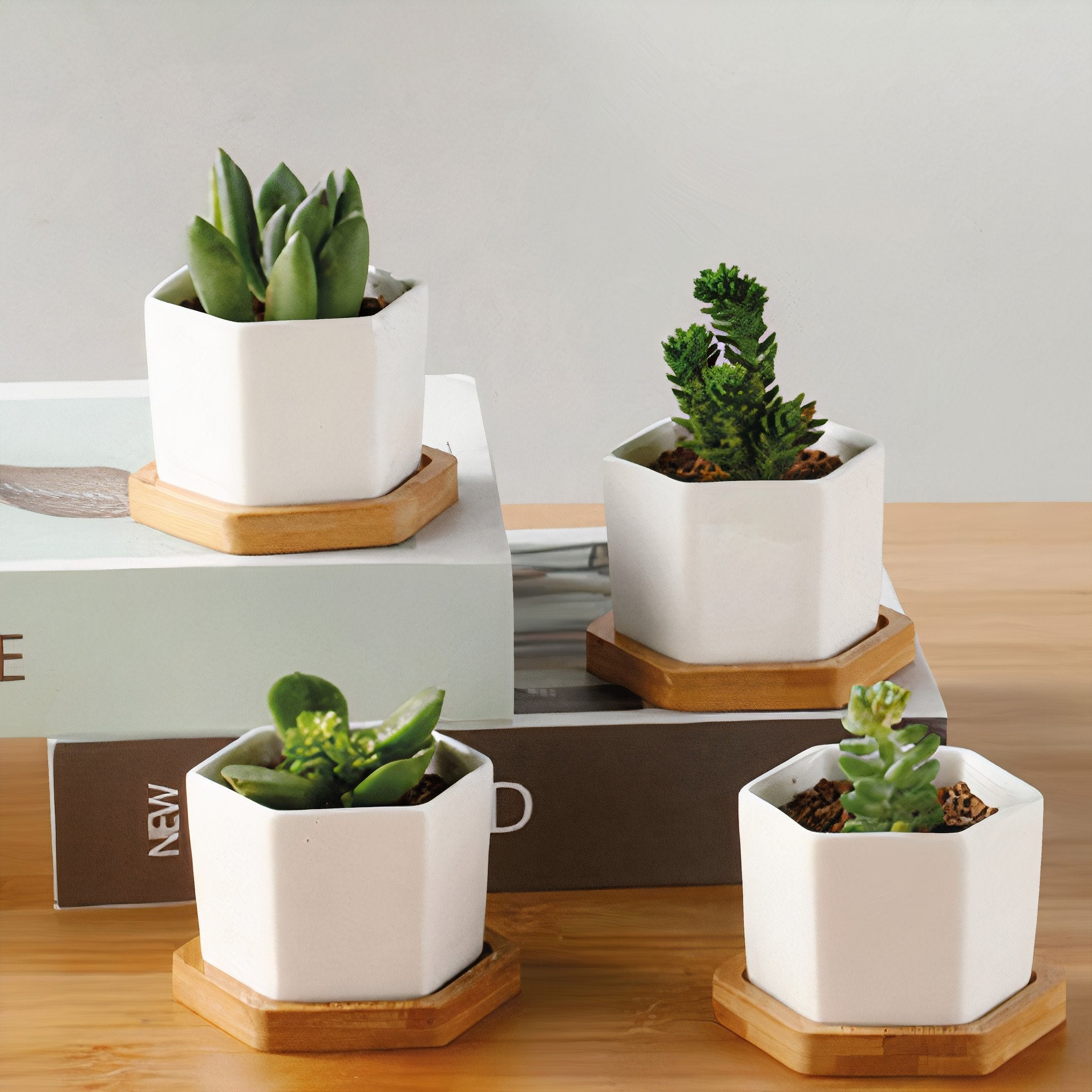 Succulent Small Planter Set of 3-0